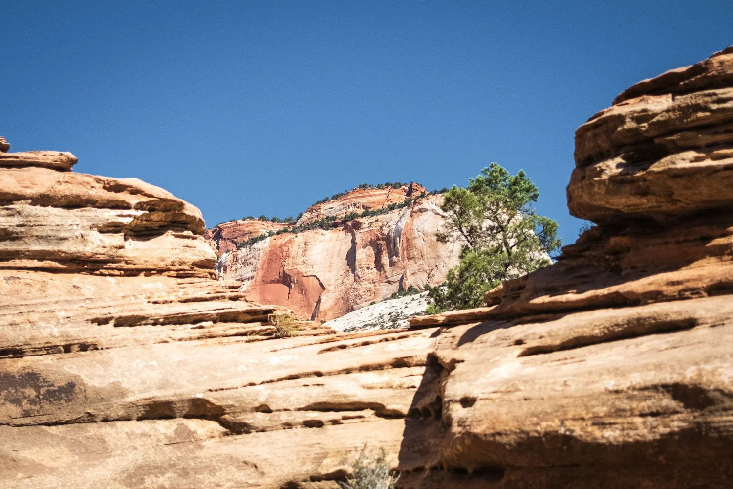 Rocks different colors on Canyon Overlook Trail