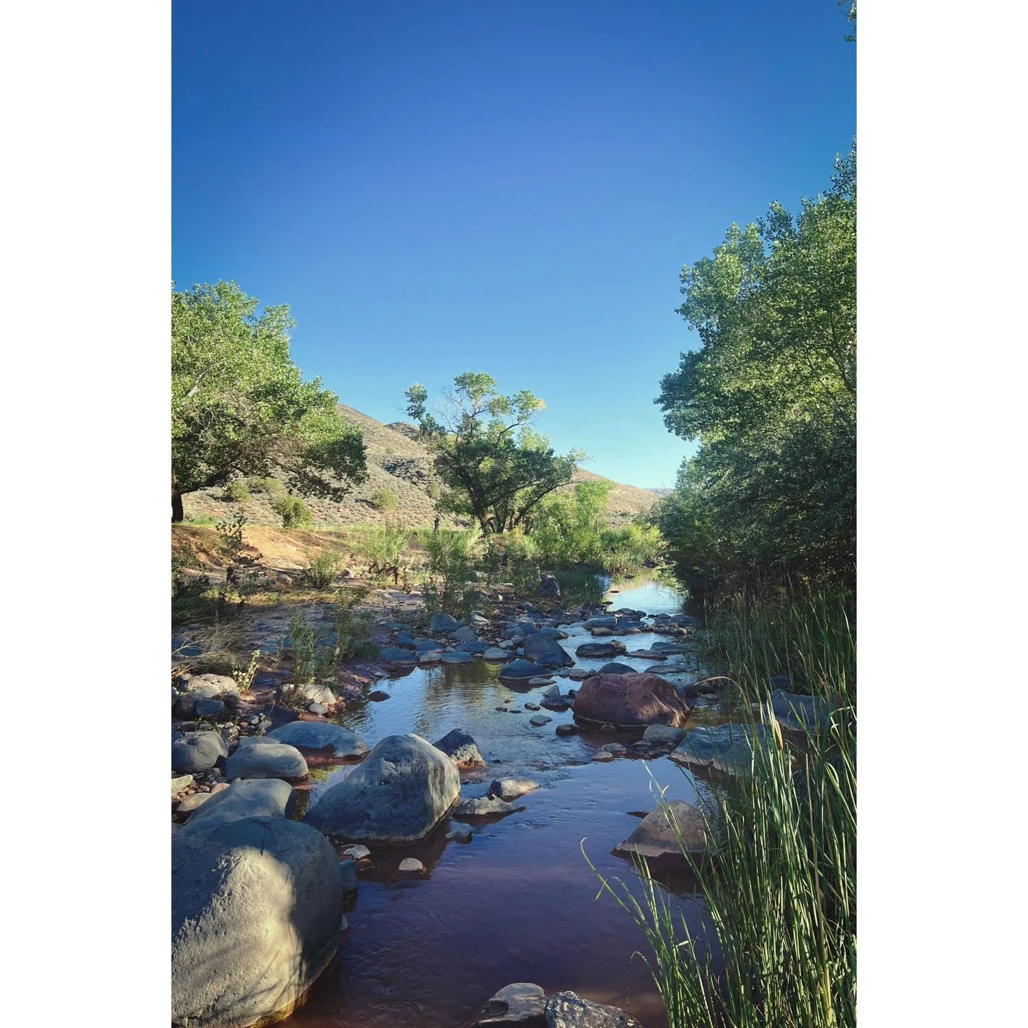 Peaceful creek near Zion Canyon National Park
