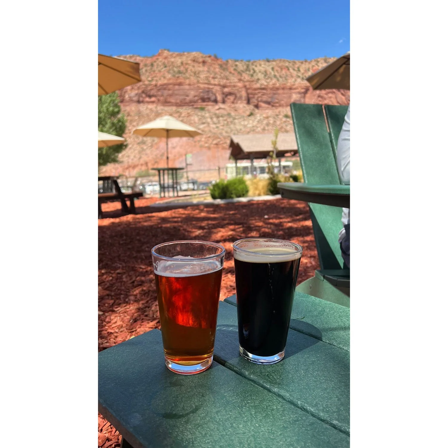 Foray Pomegranate and Conviction Stout at the Zion Canyon Brew Pub