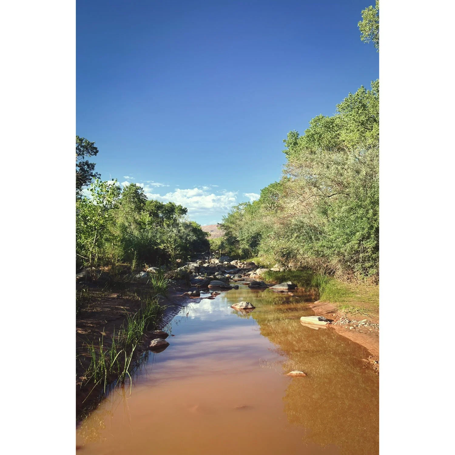Creek in dispersed camp site near Zion Canyon