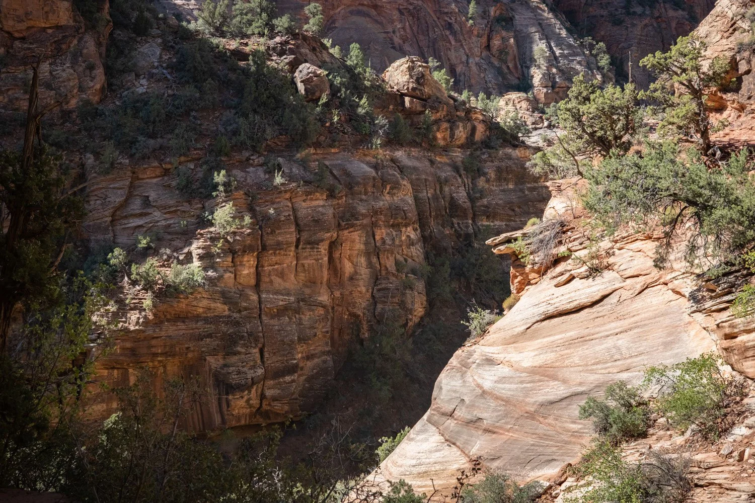 Geology seen on Zion Canyon Overlook Trail