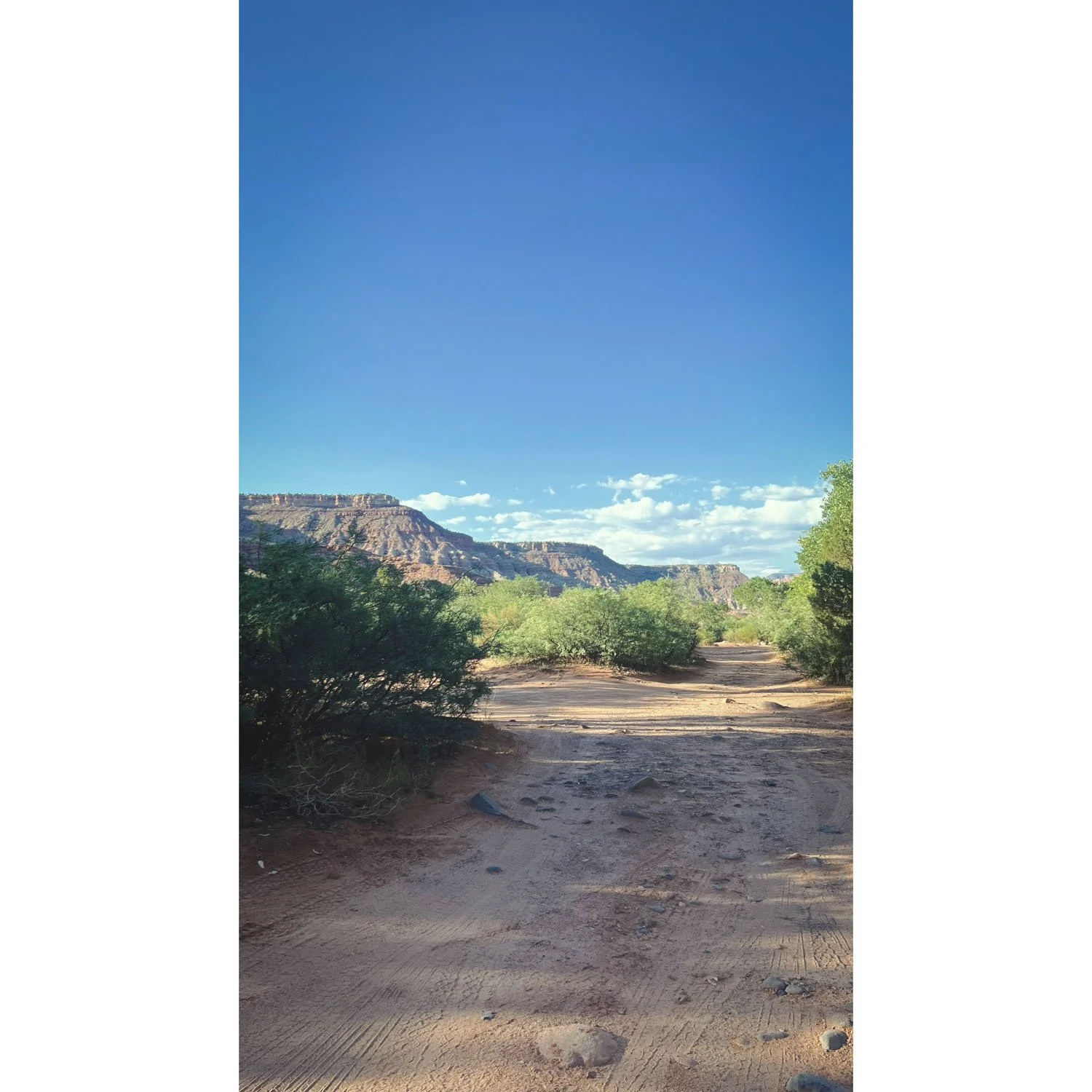 A little trail that leads to other dispersed campsites near Zion Canyon