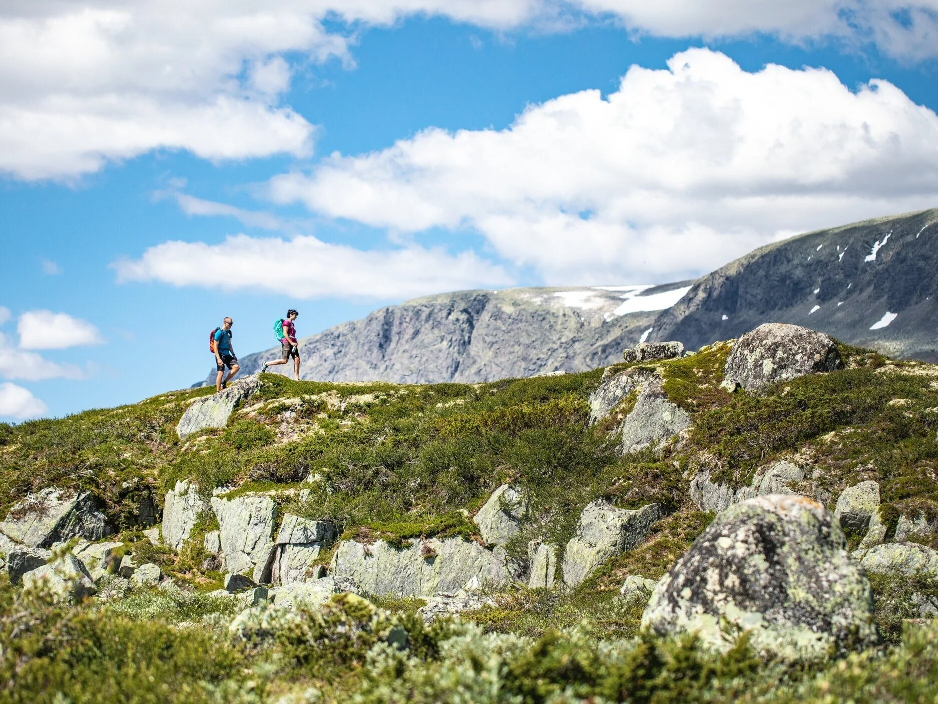 Hiking%2BGeilo%2BHallingskarvet%2BPhoto%2BPaul%2BA%2BLockhart%2BVisit%2BGeilo%2B%25284%2529.jpg