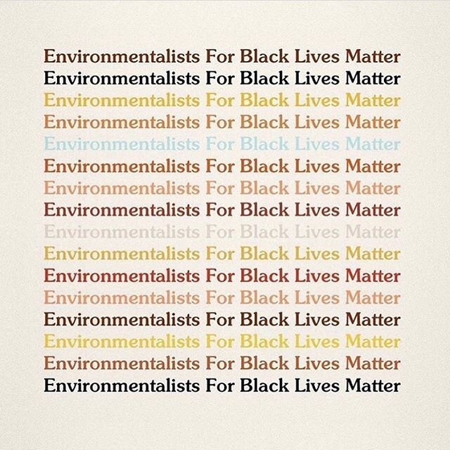 We stand in solidarity with the black lives matter movement along with BIPOC communities that face social injustices from day to day. Protect the people. Protect the planet. #blacklivesmatter &mdash;

Repost from @greengirlleah