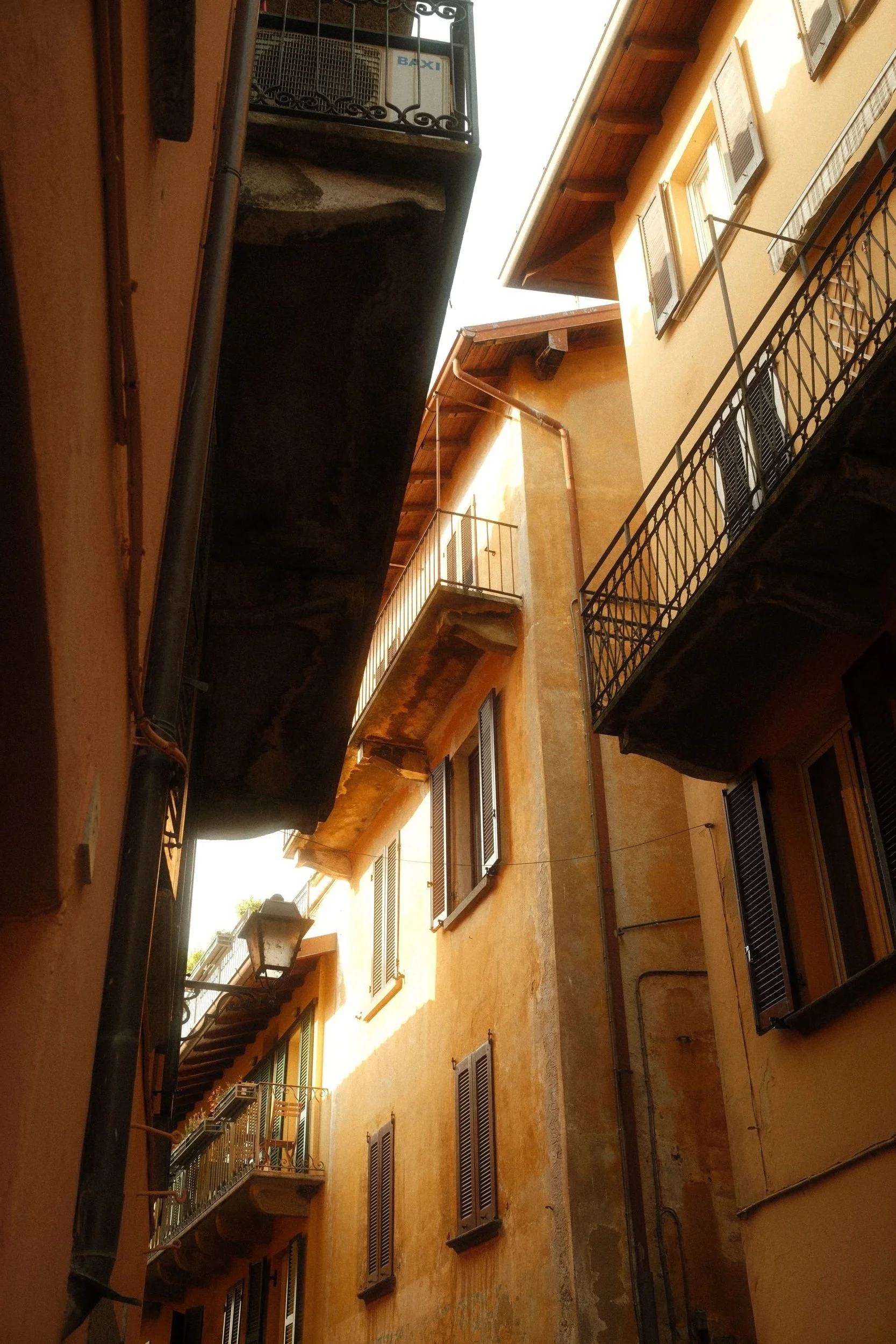 DSCF3346.jpg