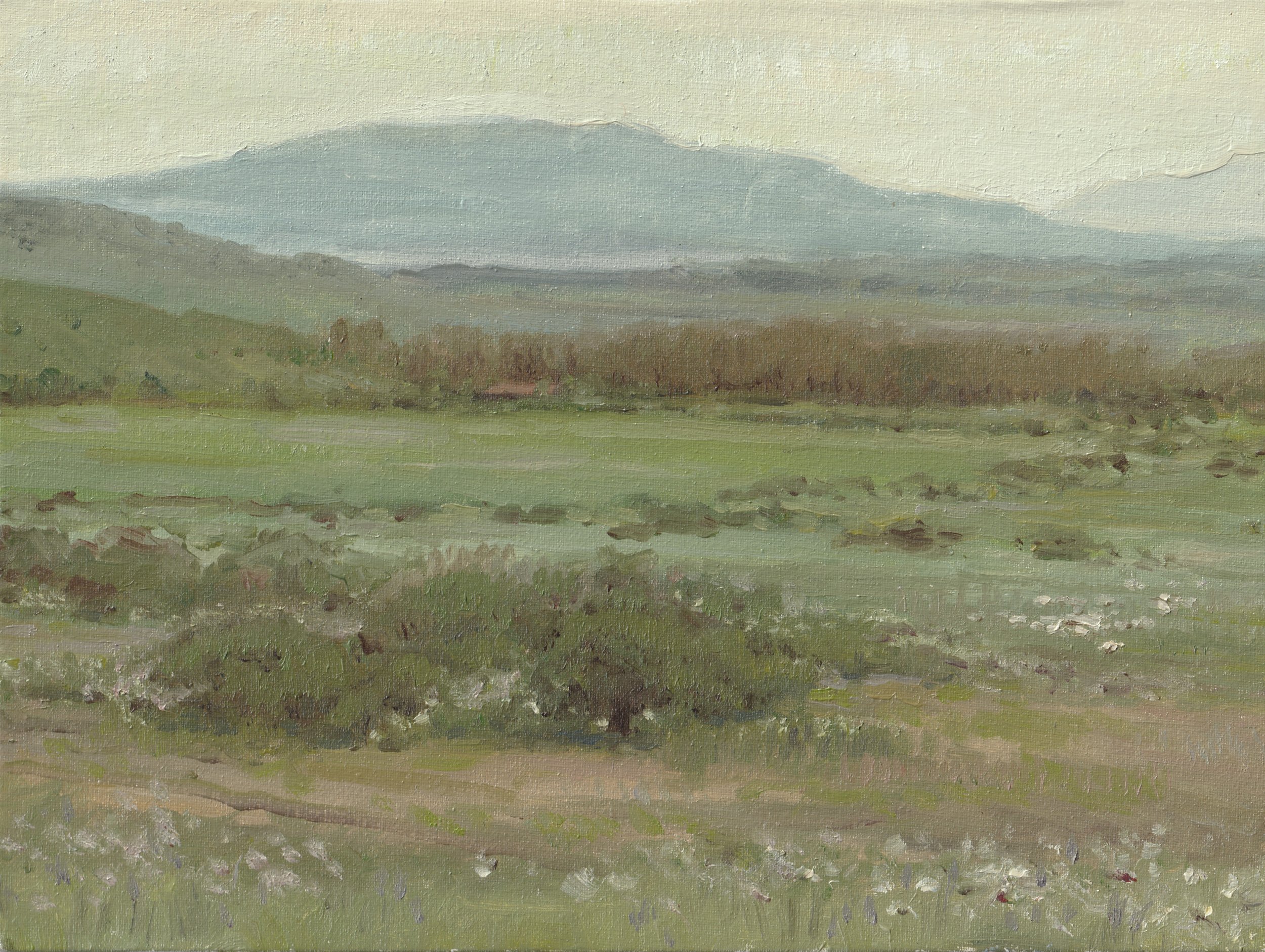 Plein air: Valley in Milis, Sardinia. April 2025.  9.45" x 7.09" (24 x 18 cm), Oil on canvas panel. 