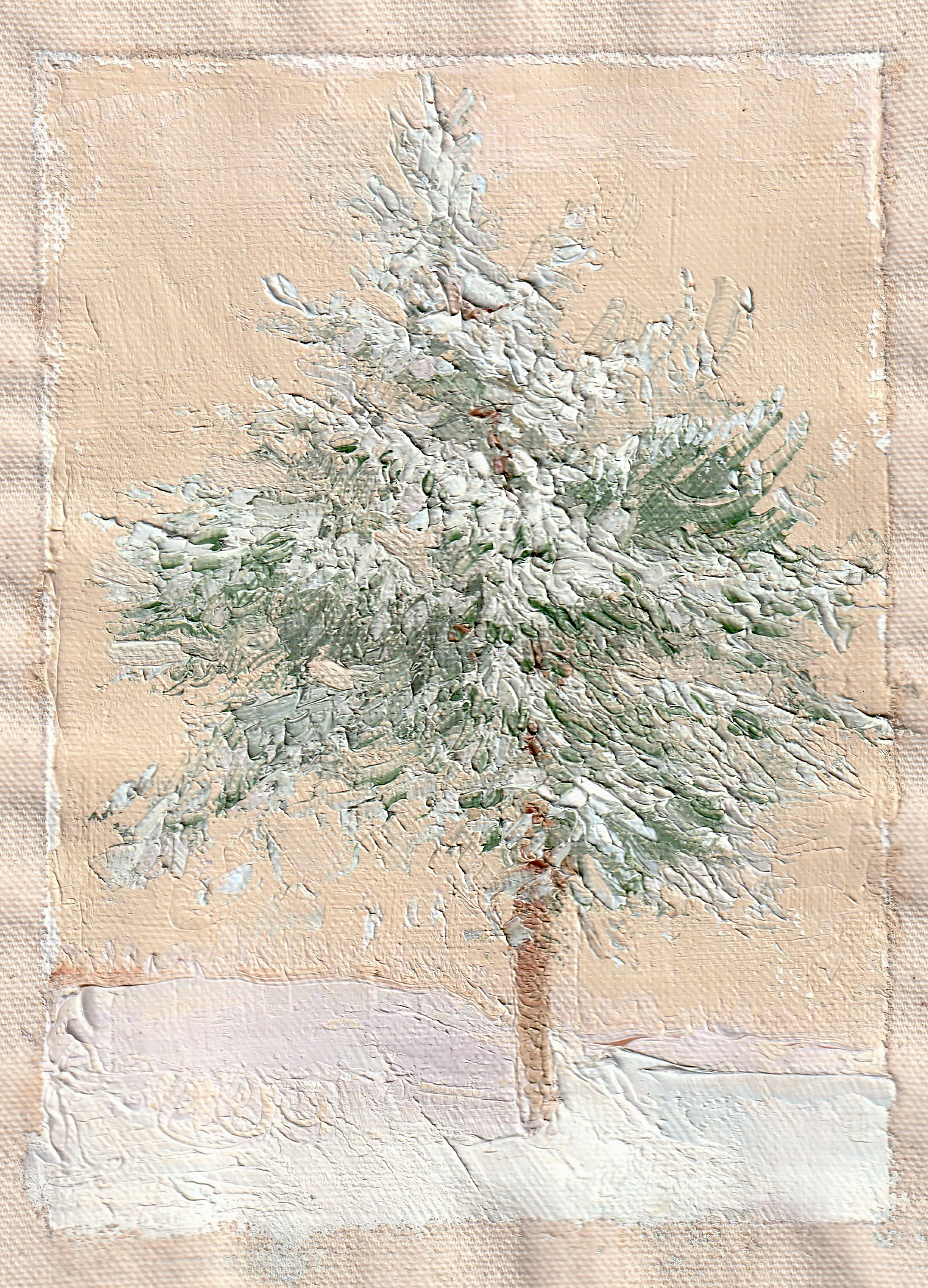 My Neighbor's Little Pine. Maryland, USA. Winter 2025. 7"x5" Oil on raw, unstretched canvas.