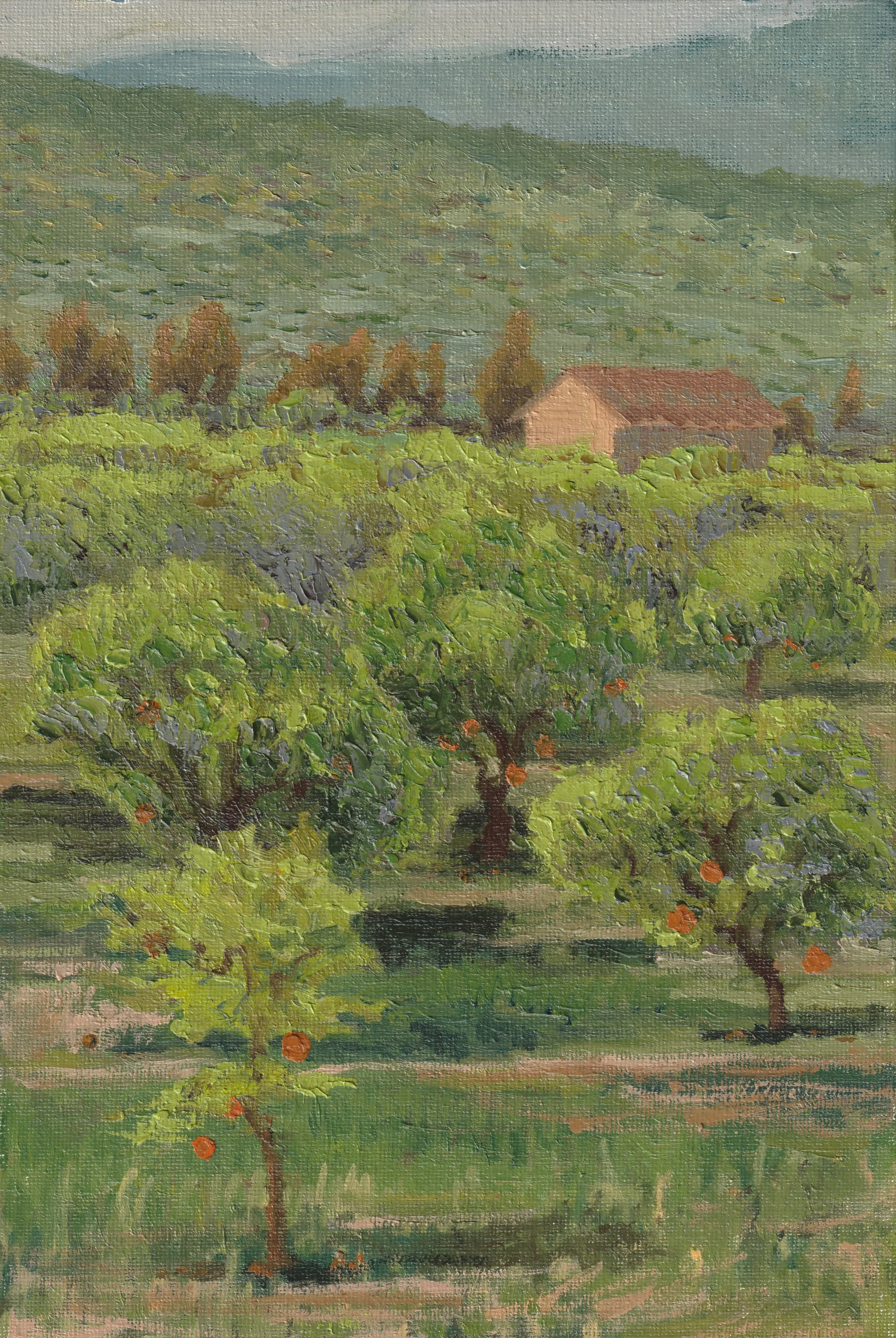 Plein air: Orange Grove in Milis, Sardinia. April 2025. 11.81" x 7.87"(30 x 20 cm), Oil on canvas panel.