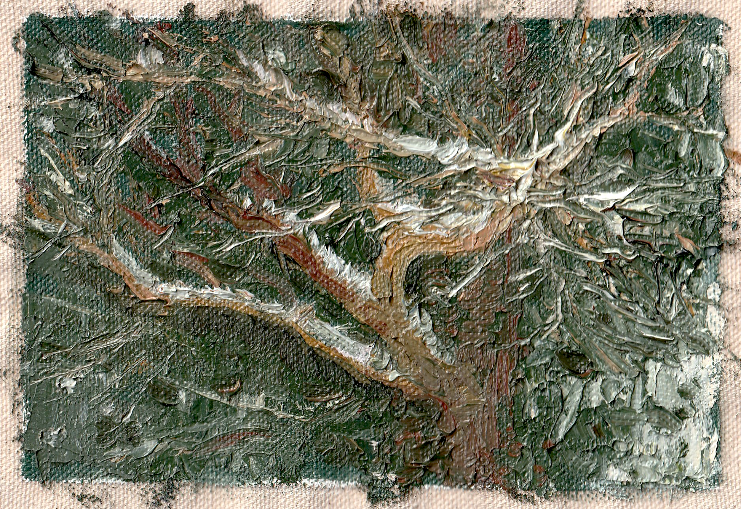Frosted Tree Elbow. Maryland, USA. Winter 2024. 4"x6" Oil on raw, unstretched canvas.