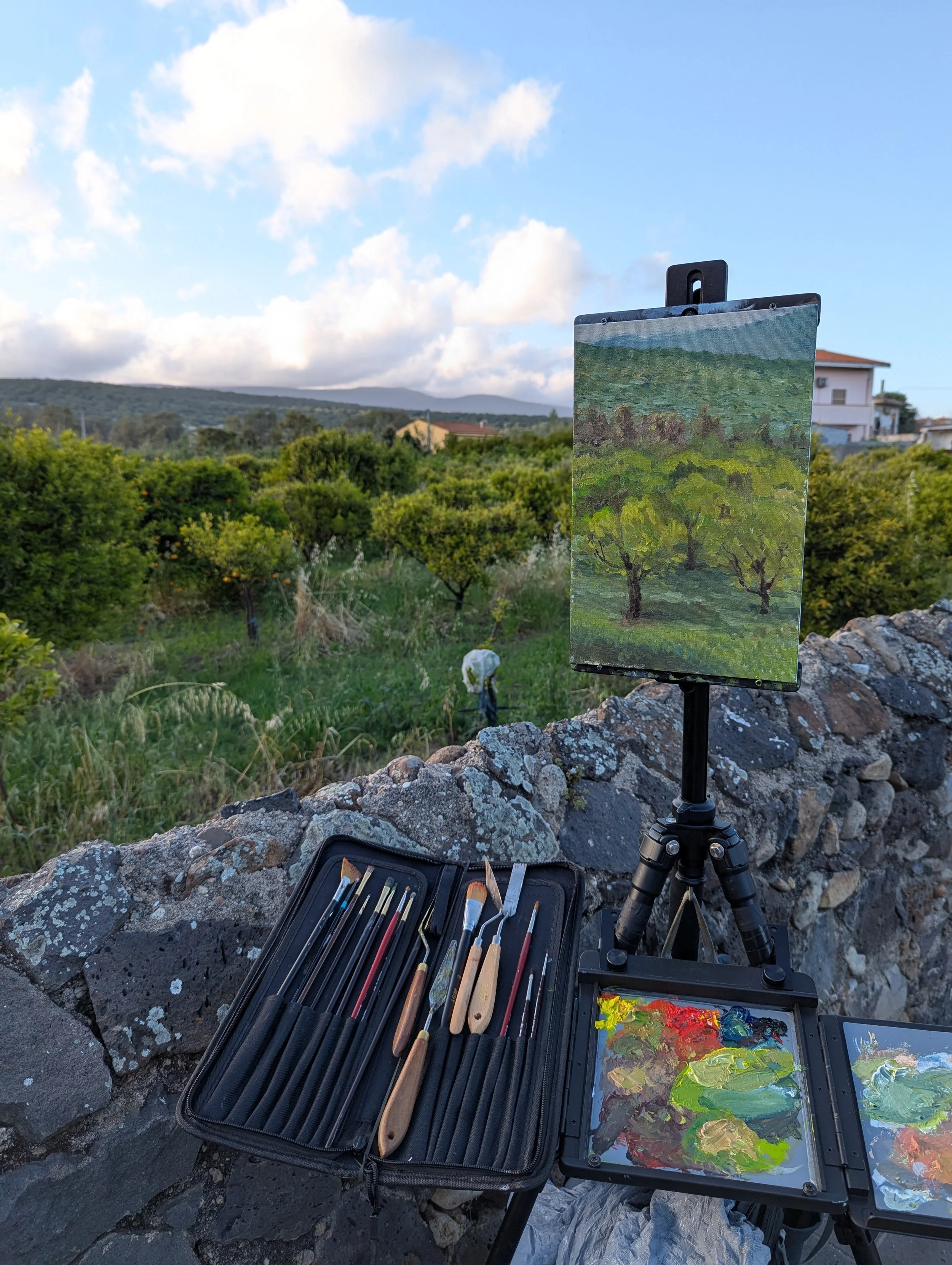 Plein air - Orchard in Milis