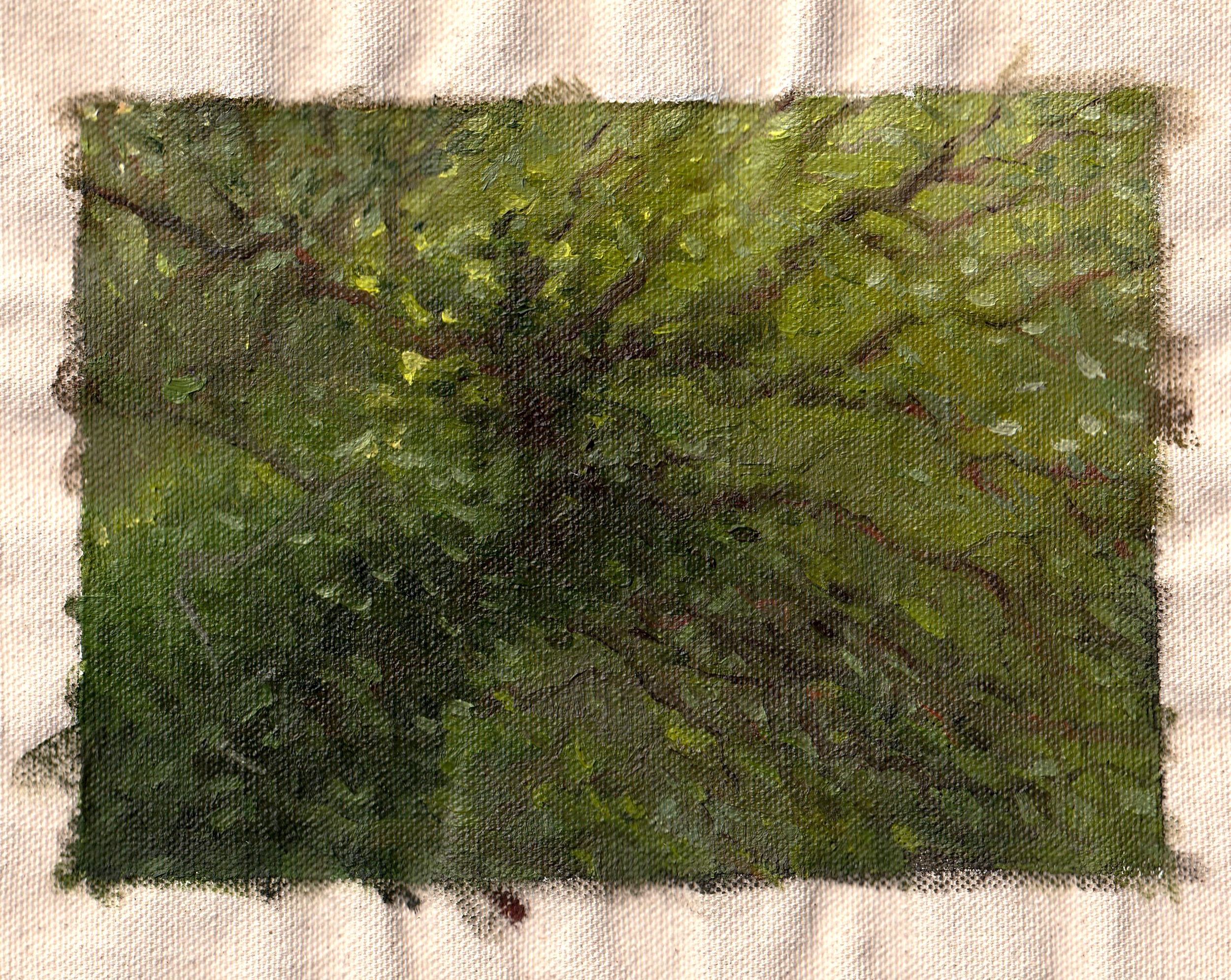 Tree Elbow. Maryland, USA. Summer 2024. 5"x7" Oil on raw, unstretched canvas.