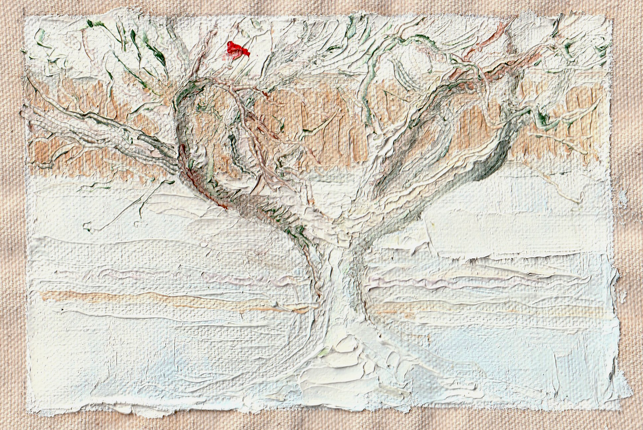 Our Tree. Maryland, USA. Winter 2025. 4"x6" Oil on raw, unstretched canvas.