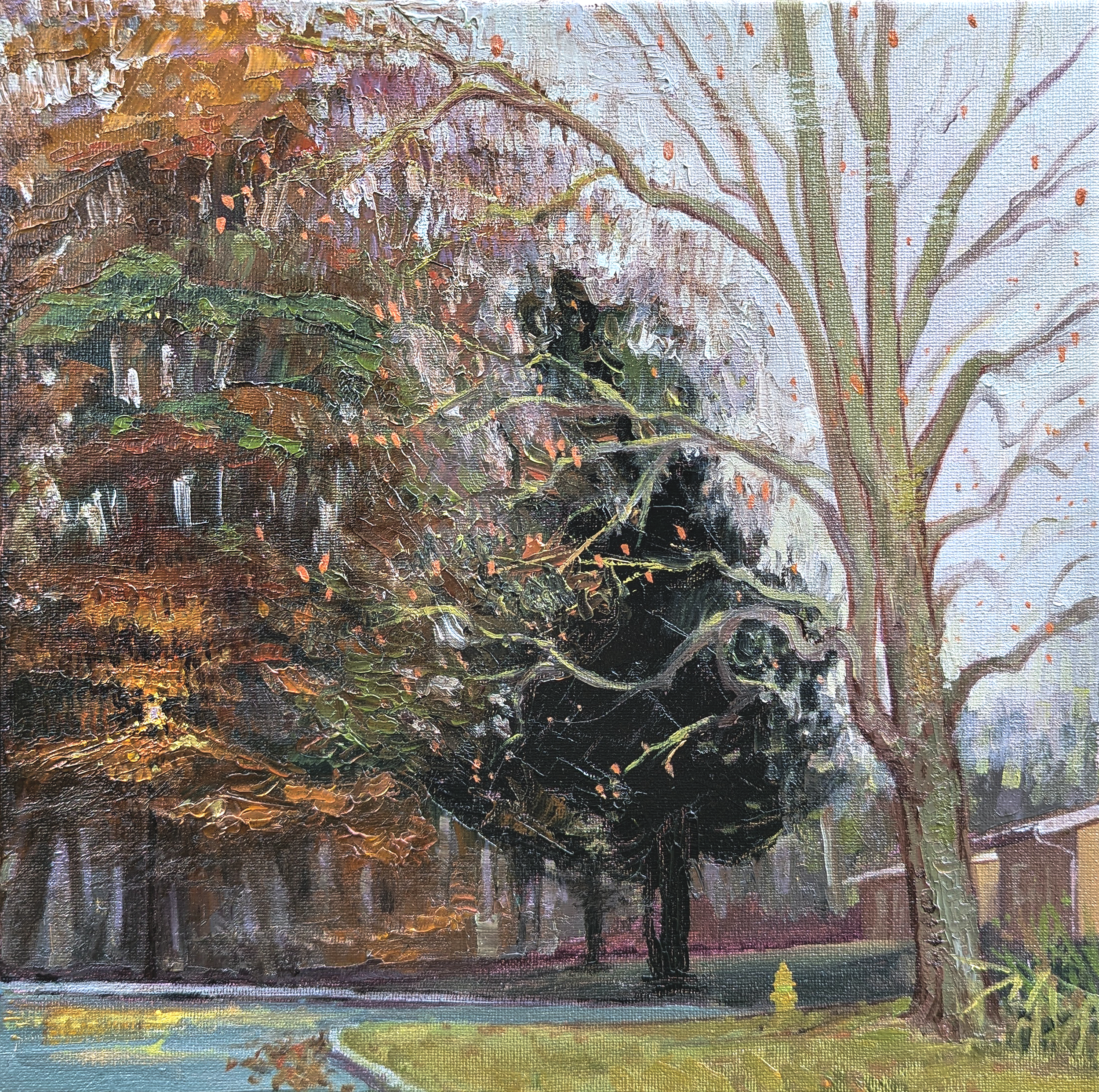 Plein Air: Winter's End in Maryland, USA. 2024. 12"x12" Oil on stretched canvas.