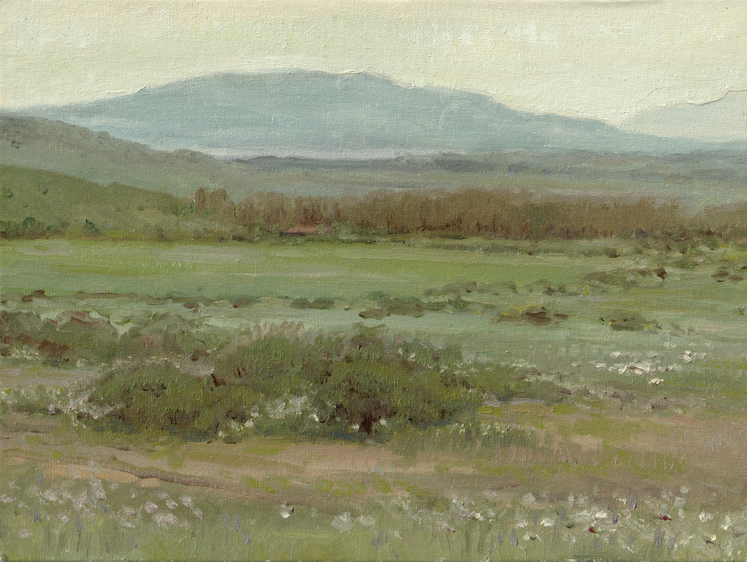 Plein air: Valley in Milis, Sardinia. April 2025.  7.09" x 9.45" (18 x 24 cm), Oil on canvas panel. [Completed during AIR with Nocefresca]