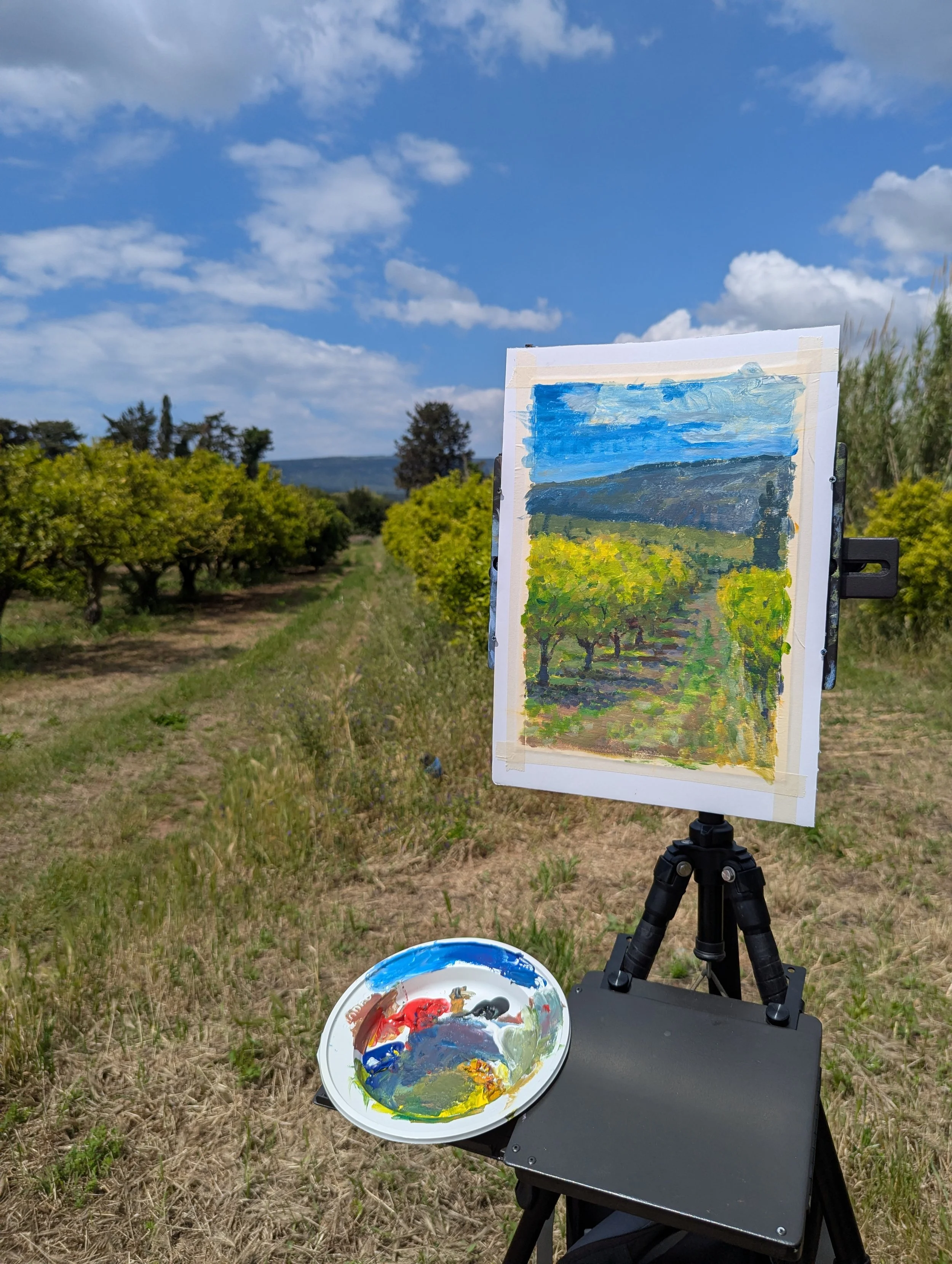 "Plein Air Painting using a Limited Palette" Workshop, Milis. I facilitated this workshop in accompaniment with a meditation led by artist, Lore, and a tour of a local family's orange groves. 