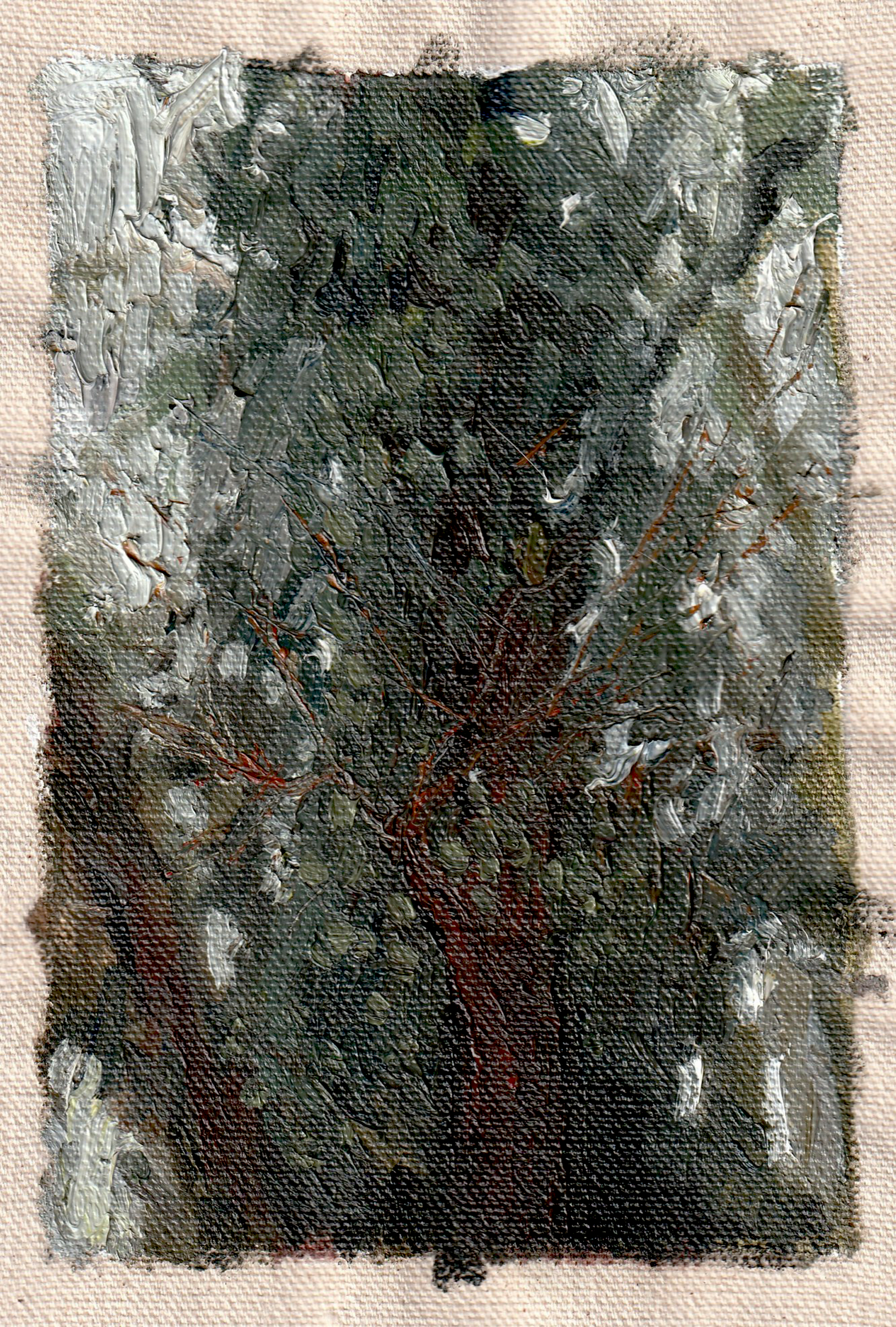 Backlit Tree Vines. Maryland, USA. Spring 2025. 6"x4" Oil on raw, unstretched canvas.
