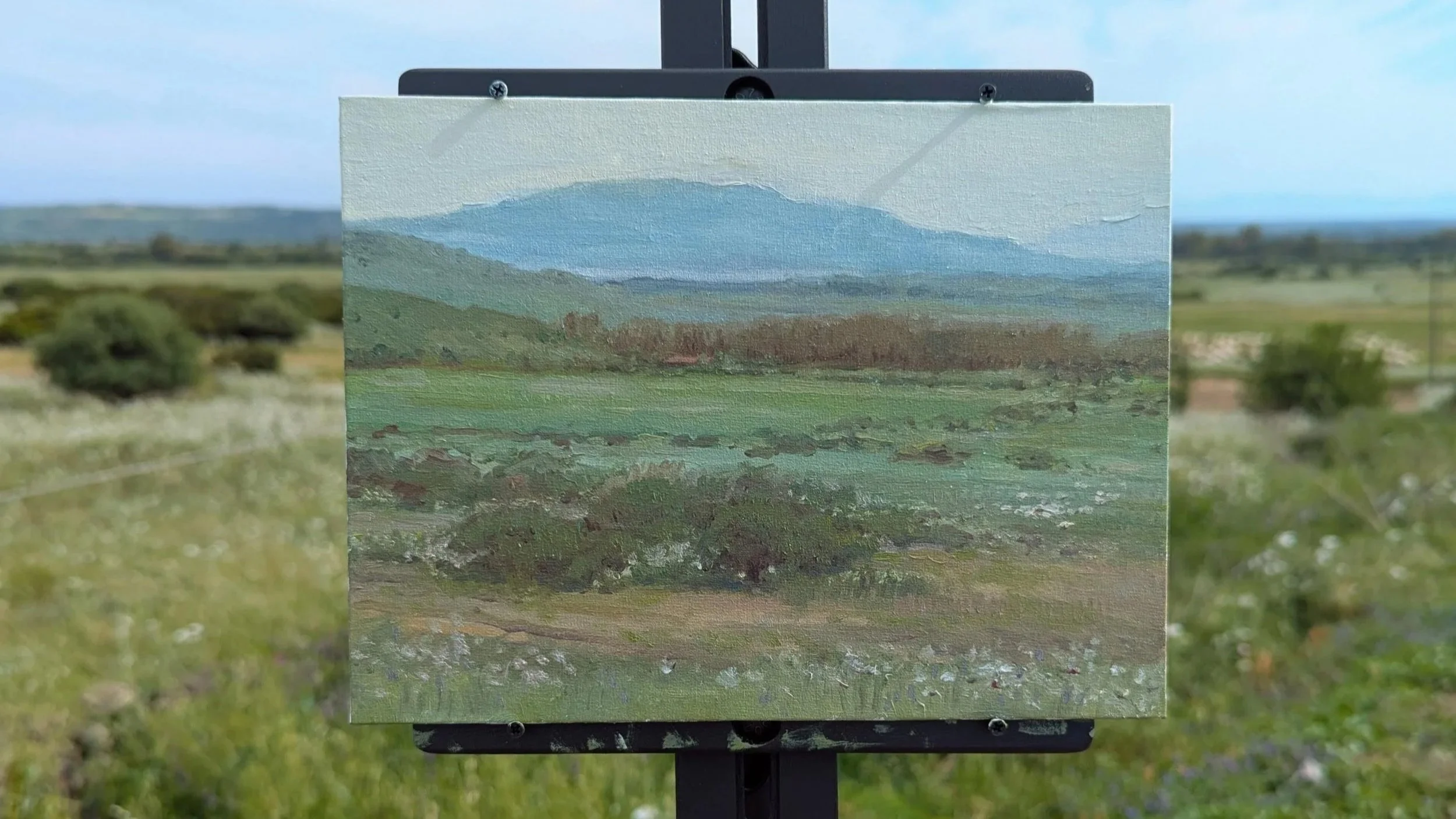 LANDSCAPE