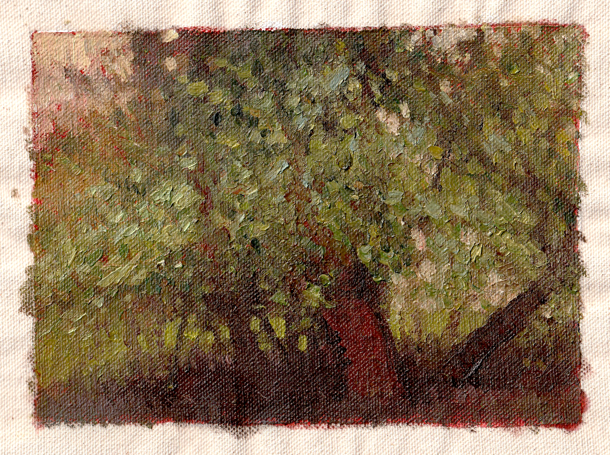 Backlit Forest. Maryland, USA. Autumn 2024. 5"x7" Oil on raw, unstretched canvas.