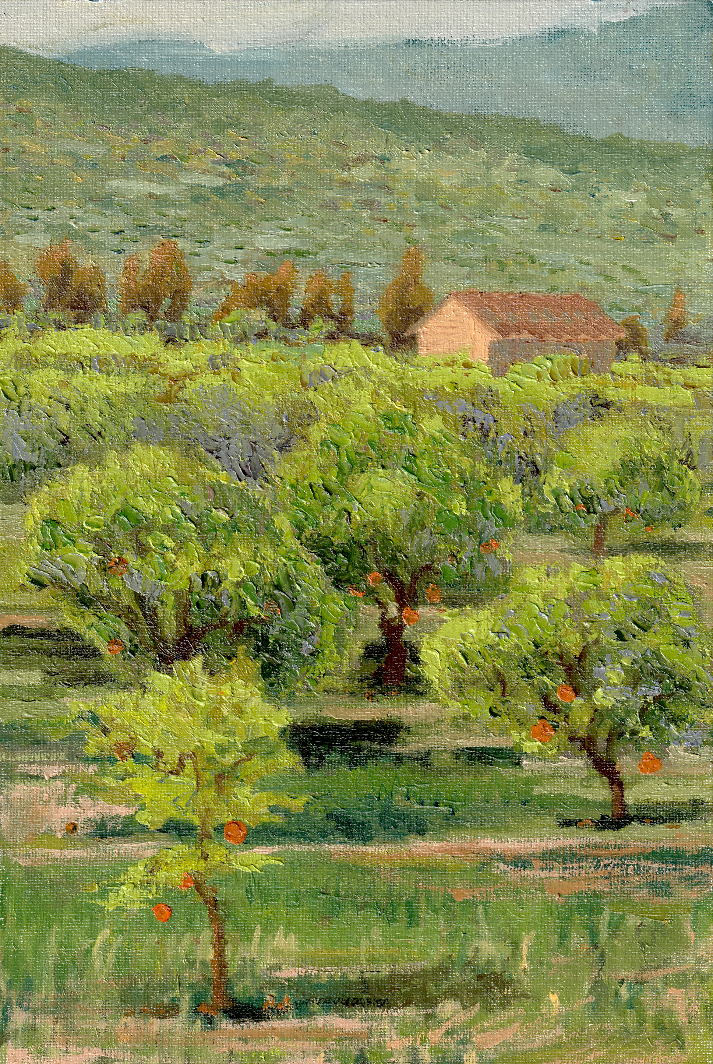 Plein air: Orange Grove in Milis, Sardinia. May 2025. 11.81" x 7.87"(30 x 20 cm), Oil on canvas panel. [Completed during AIR with Nocefresca]
