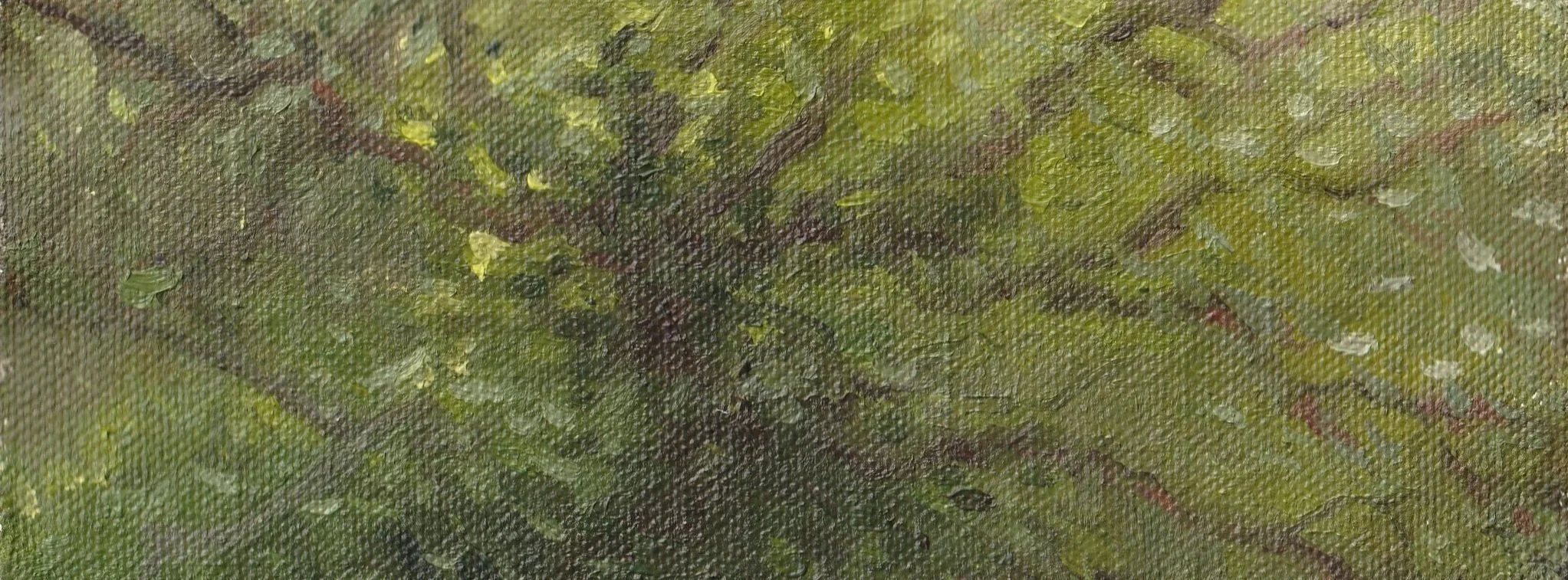 VIGNETTE