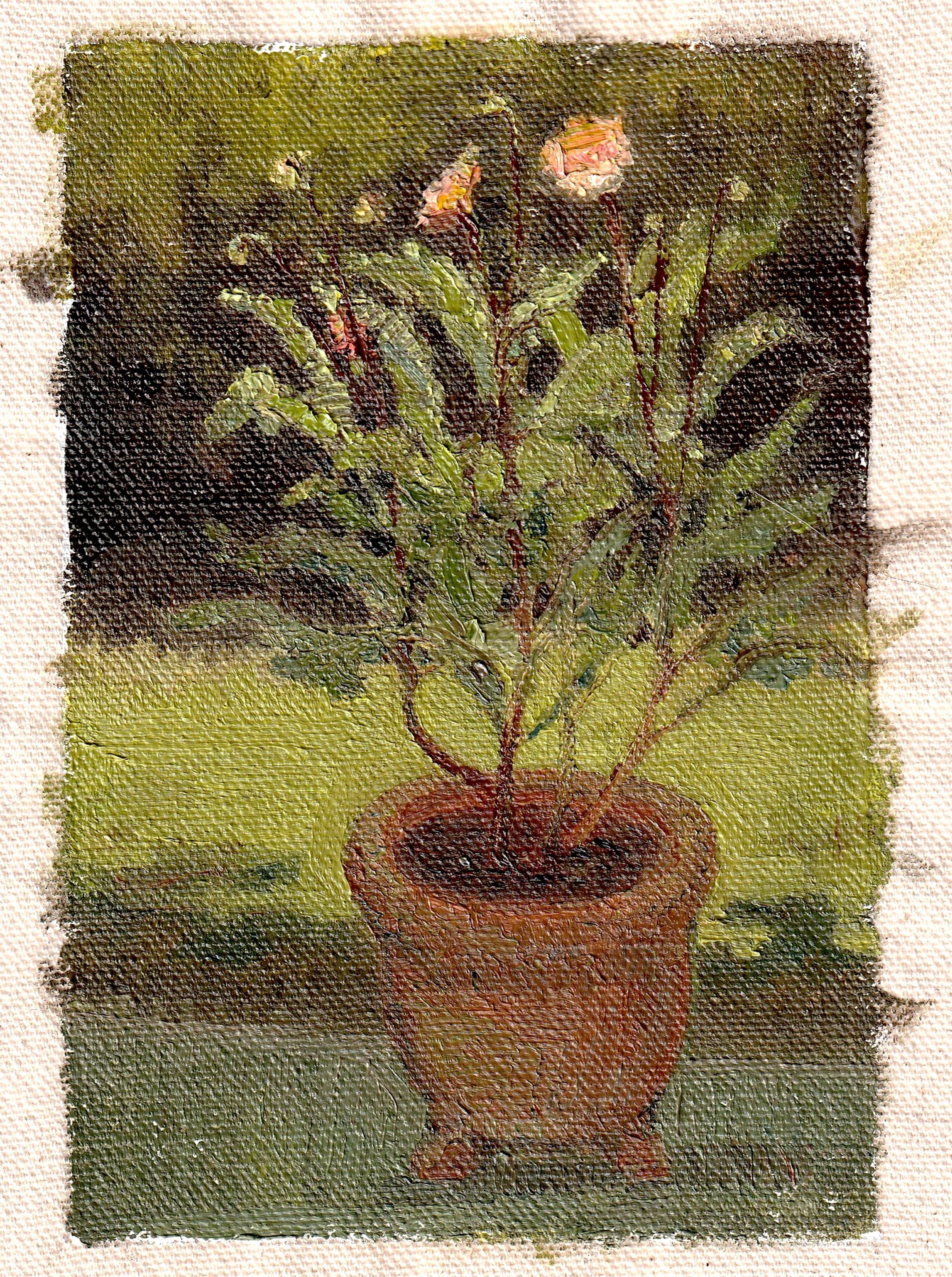 Garden Dahlias. Maryland, USA. Summer 2024. 6"x4" Oil on raw, unstretched canvas.
