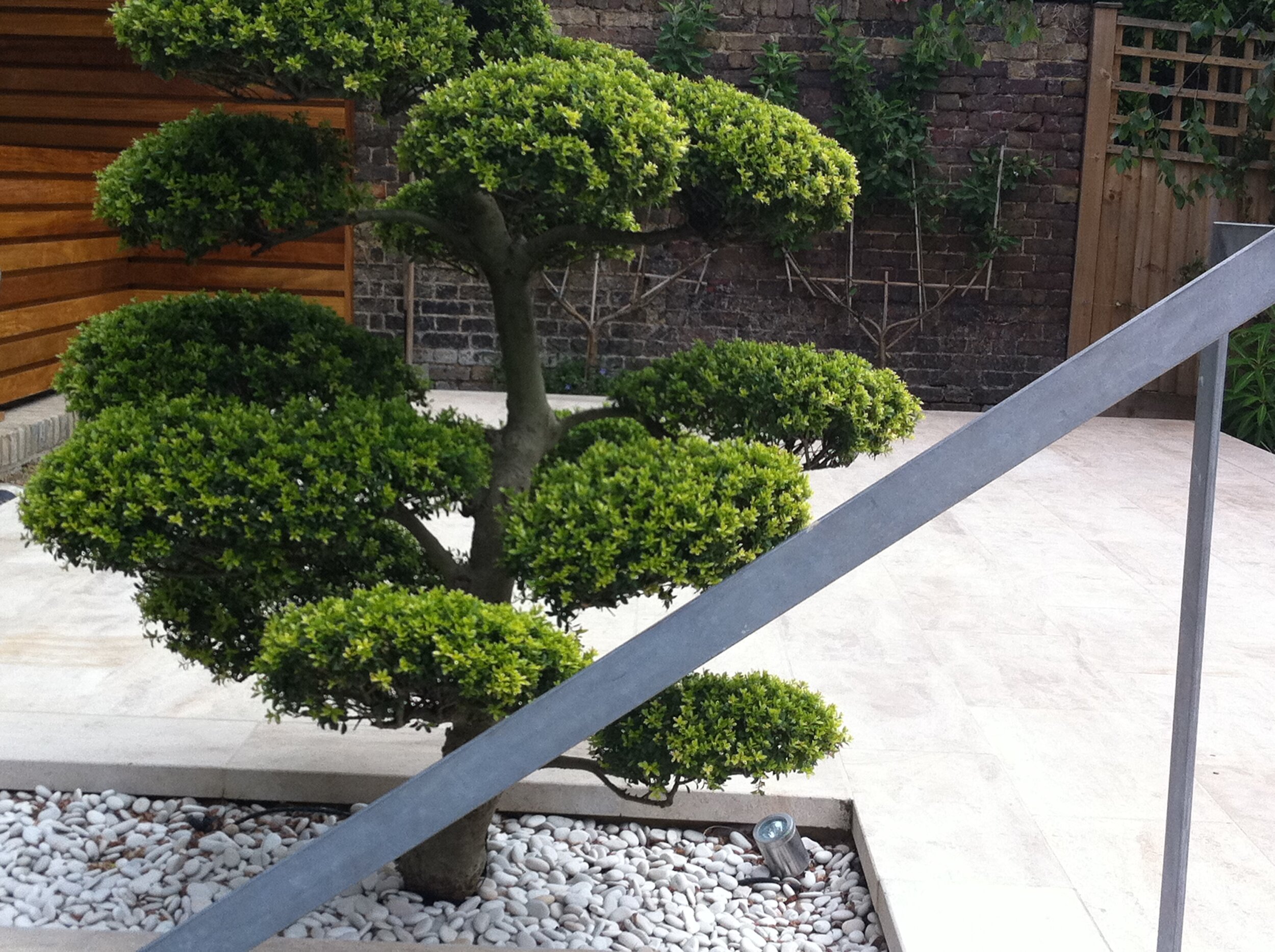 IMG_0943.JPG