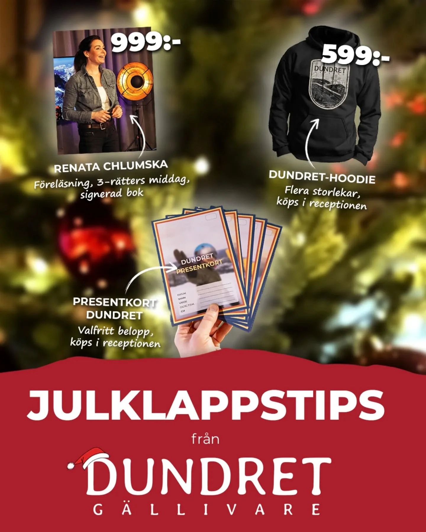 Julklappstips fr&aring;n Dundret 🎁🎅🎄

🎁 Ge bort en inspirerande upplevelse? F&ouml;rel&auml;sning, 3-r&auml;tters middag och en signerad bok av &auml;ventyrerskan @renatachlumska 
L&auml;s mer h&auml;r: www.dundretgallivare.se/renatachlumska

🎁 