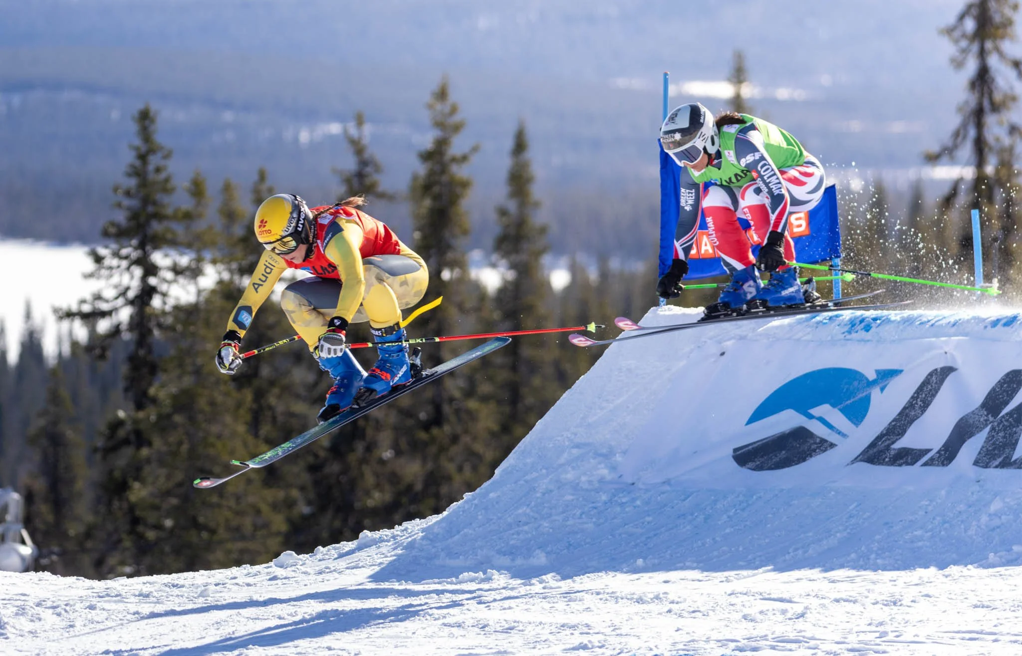 Skicross01.jpg