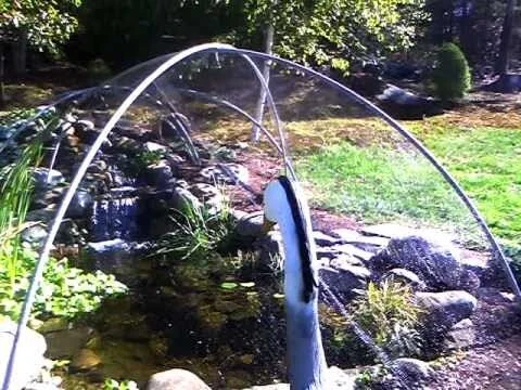 Product Feature: Pond Netting