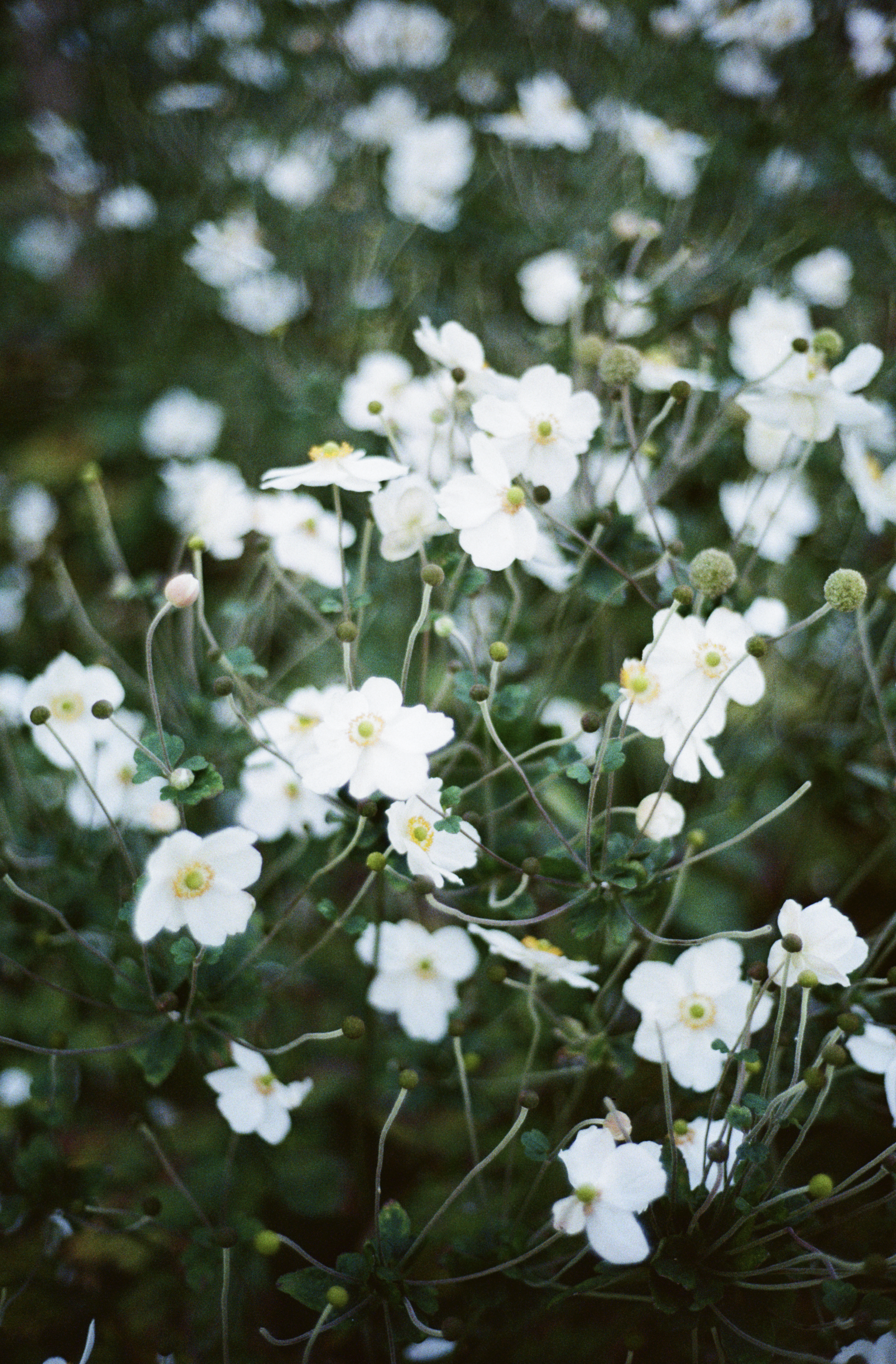 Screenshot 2025-11-17 at 23.18.17.png