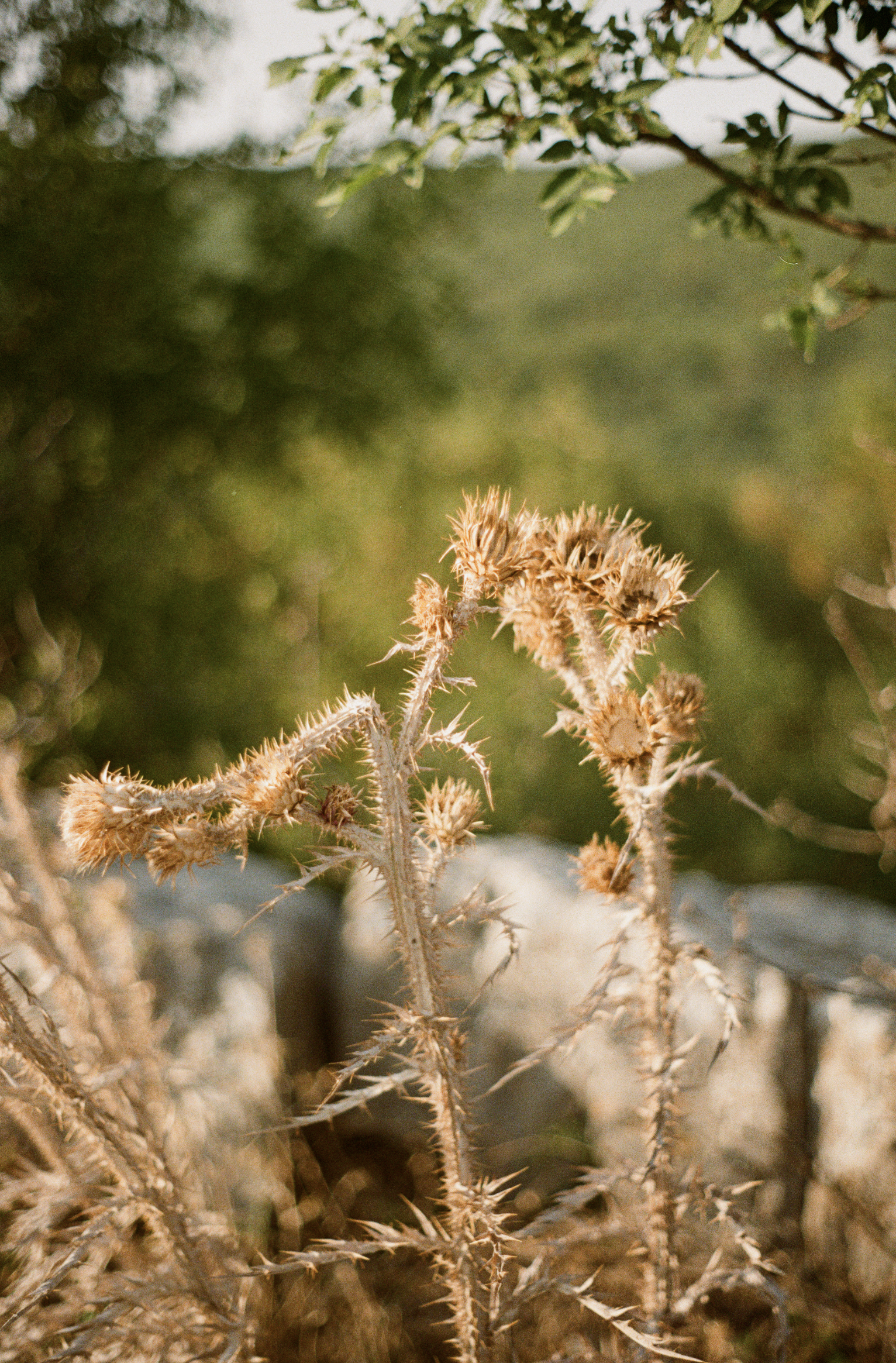 Screenshot 2025-11-17 at 23.08.16.png