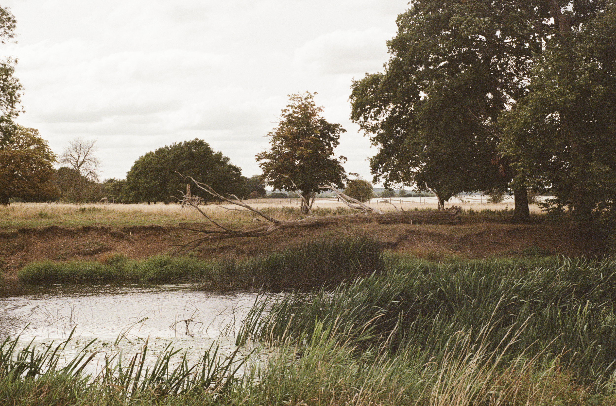 Screenshot 2025-11-17 at 23.42.37.png