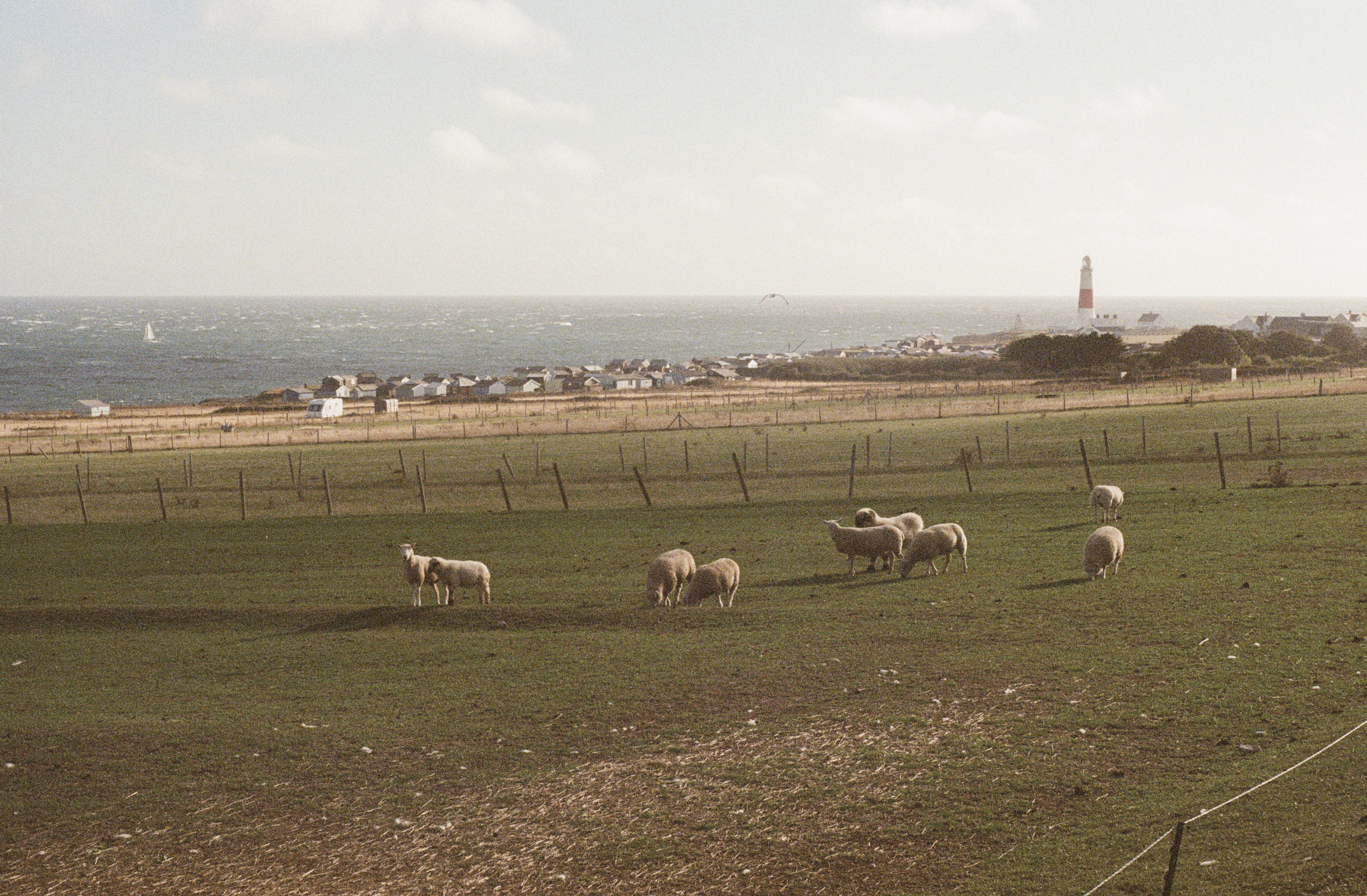 Screenshot 2025-11-17 at 23.34.54.png