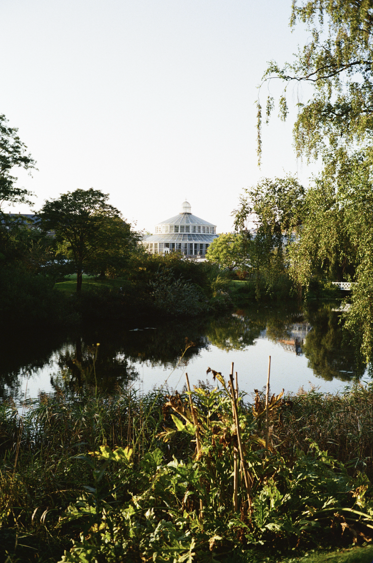 Screenshot 2025-11-17 at 23.19.15.png