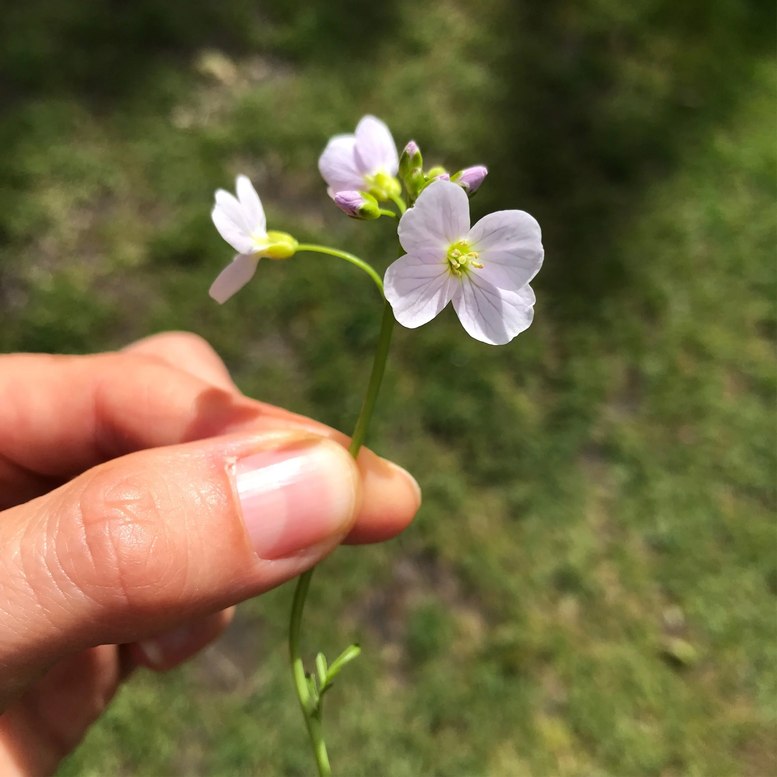 image2 (1).jpeg