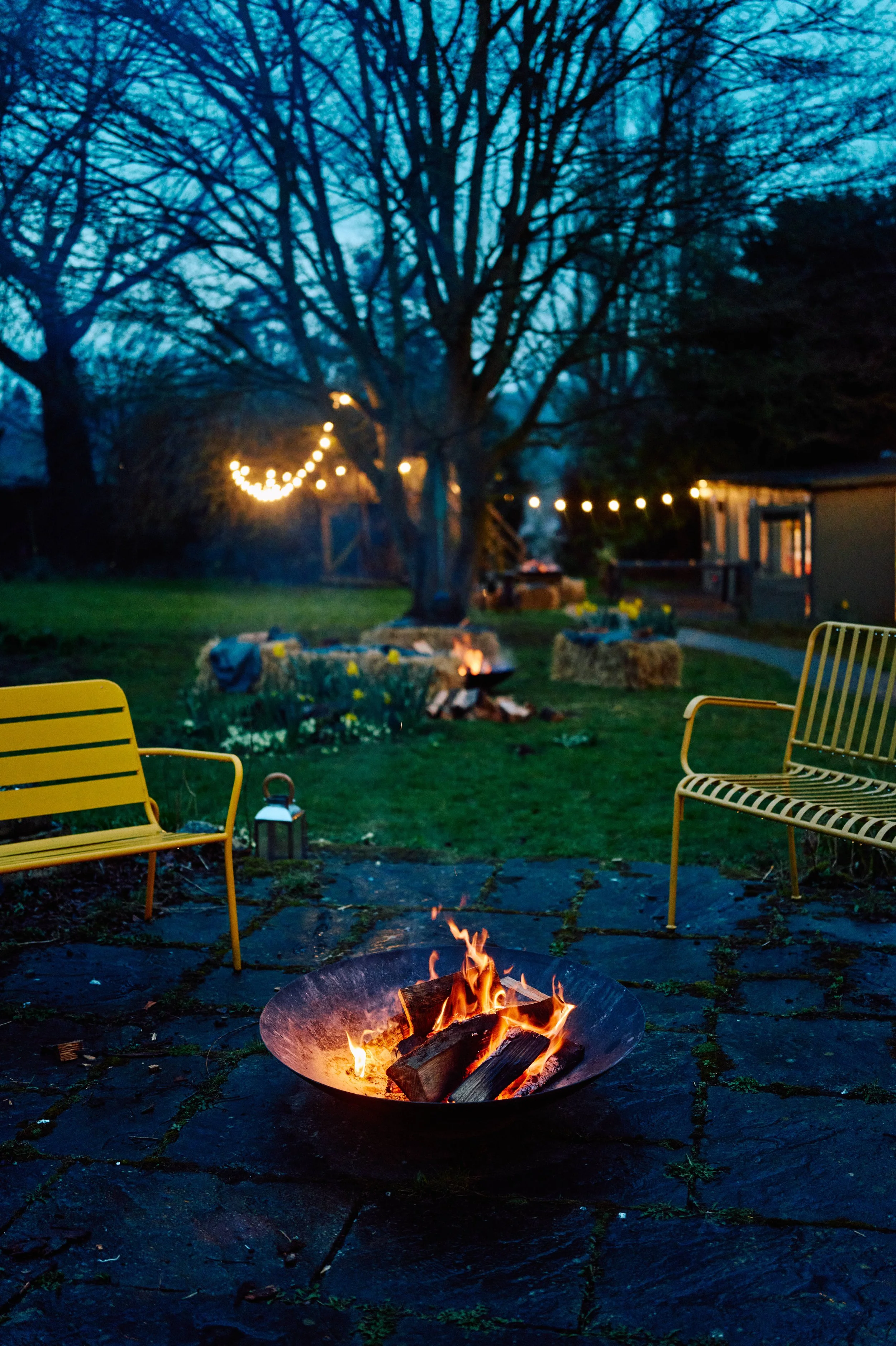 STV0848 RBT COM.124.jpg (Copy)