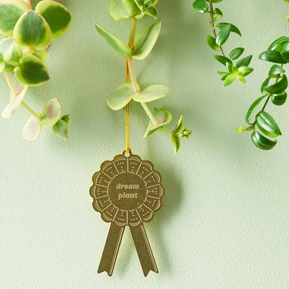 dream-plant-award-another-studio-1.jpg