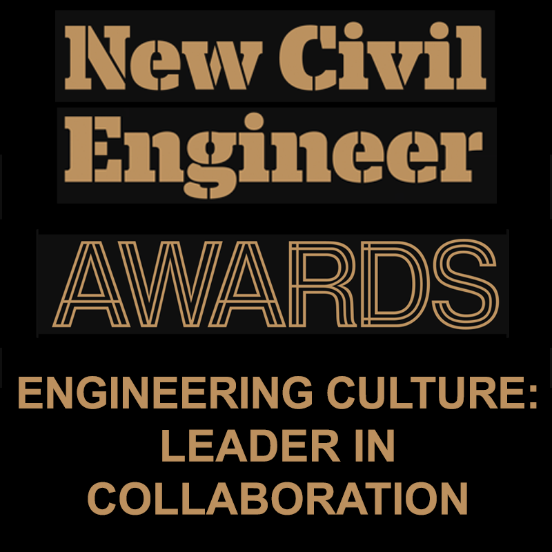 NCE-Awards-Collaboration-sqr.png