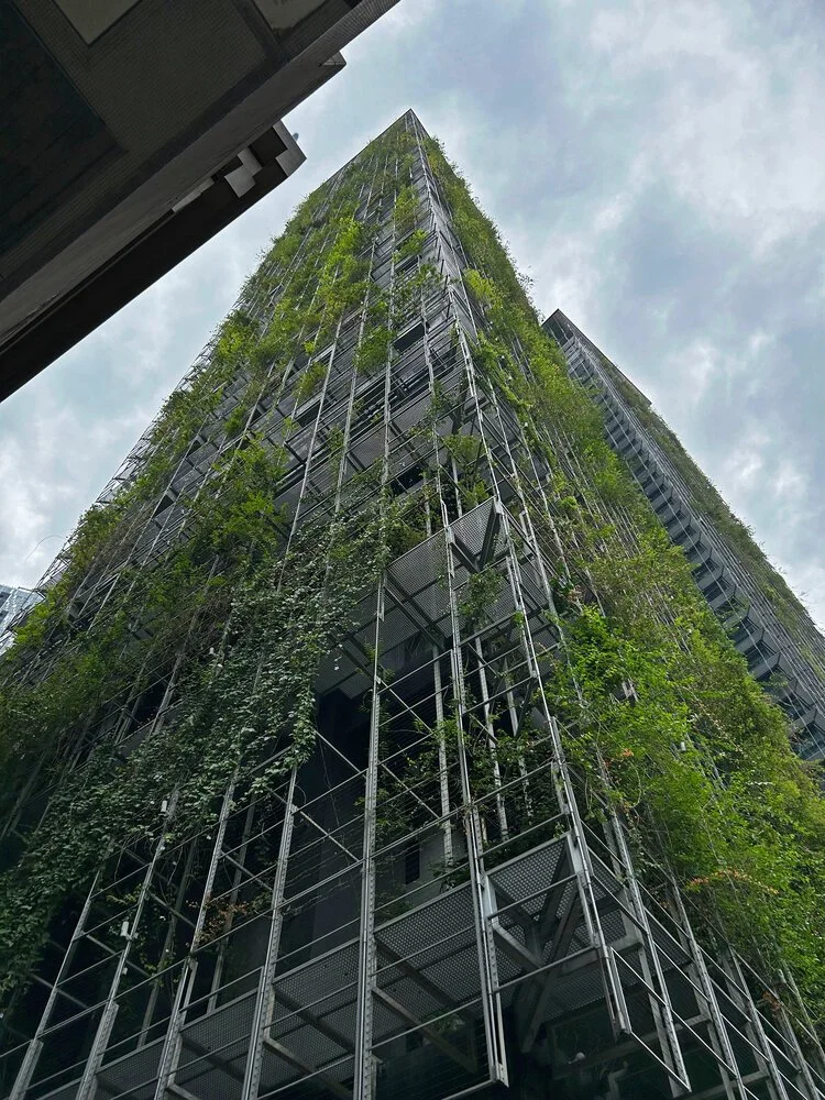 le-nouvel-04.jpg