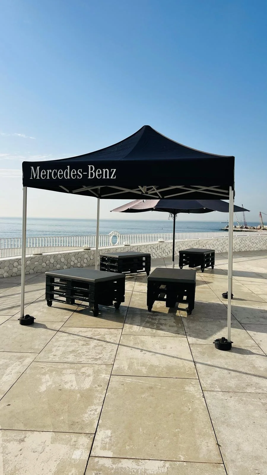 PHOTO-2024-11-18-09-44-49 2.jpg