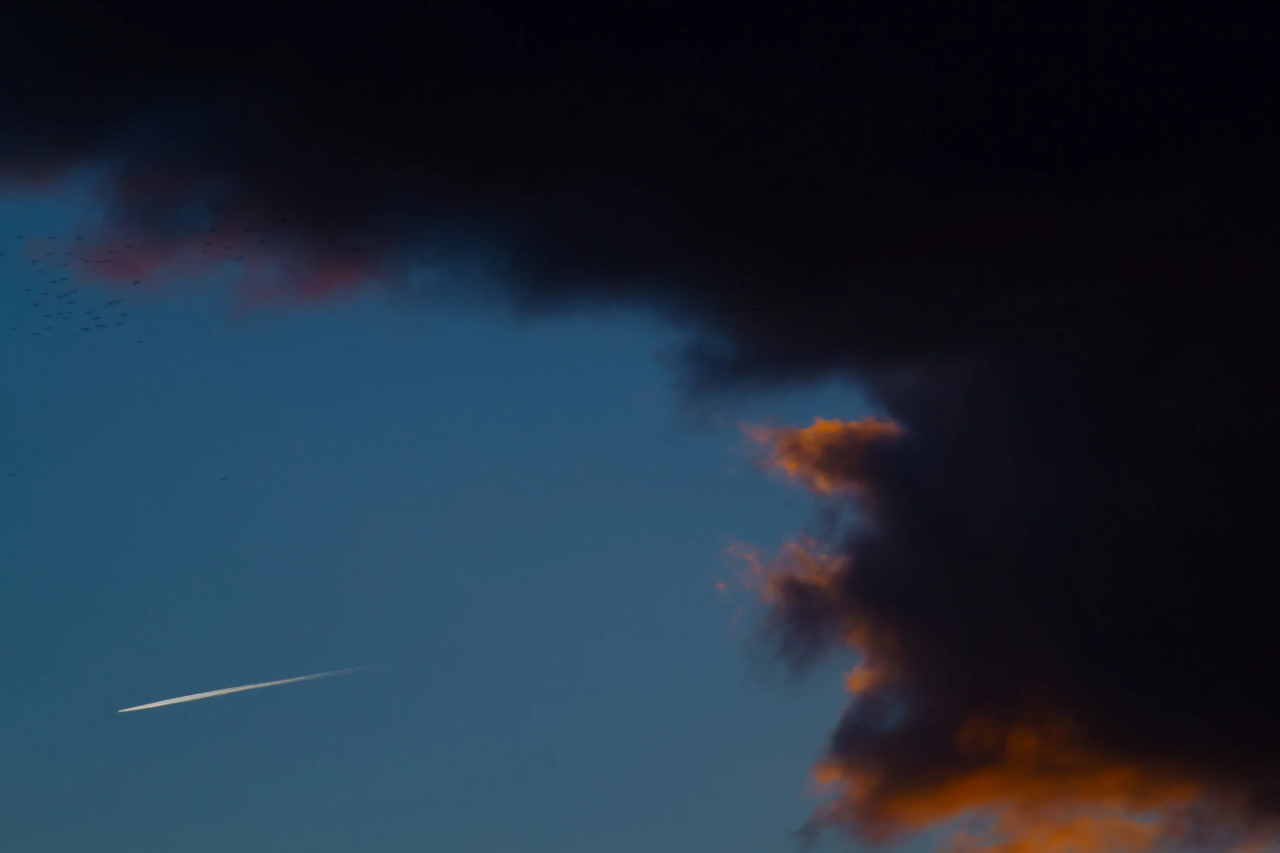 DSC_1768.jpg