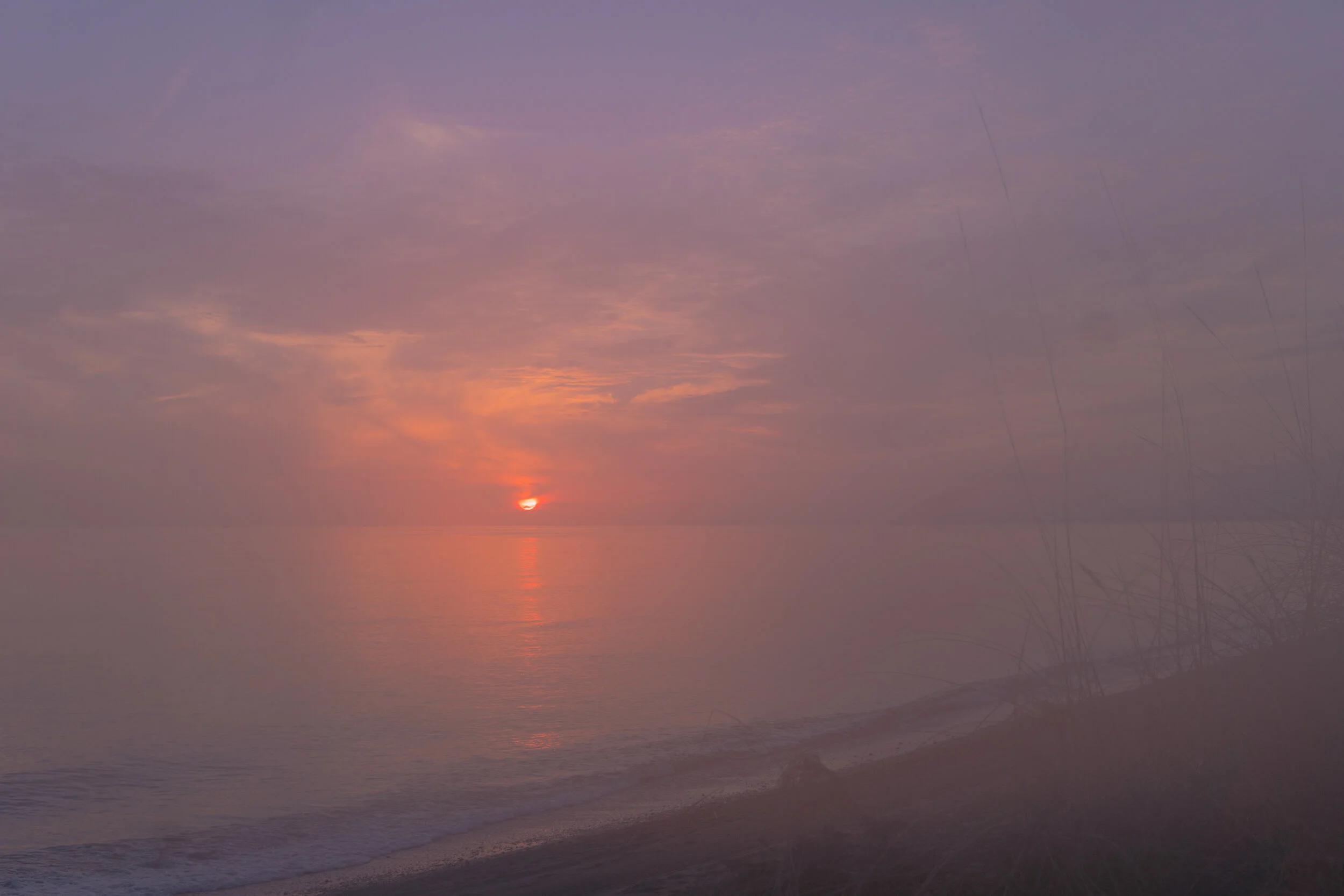 DSC02152.jpg