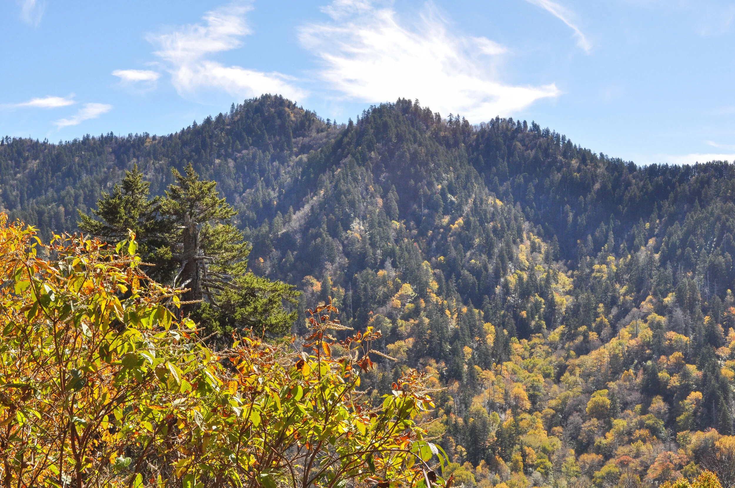 DSC_0788.jpg