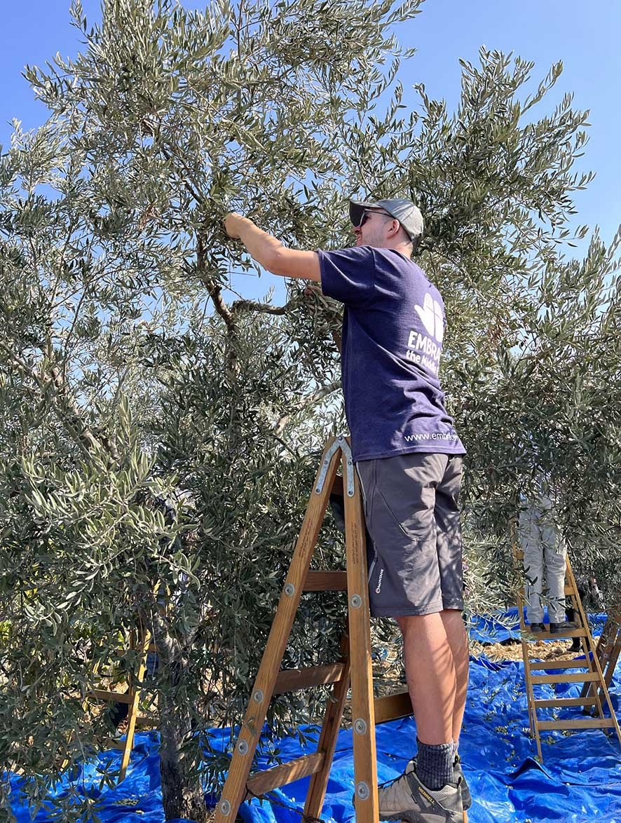 Olive Planting Trip 22 10.JPEG