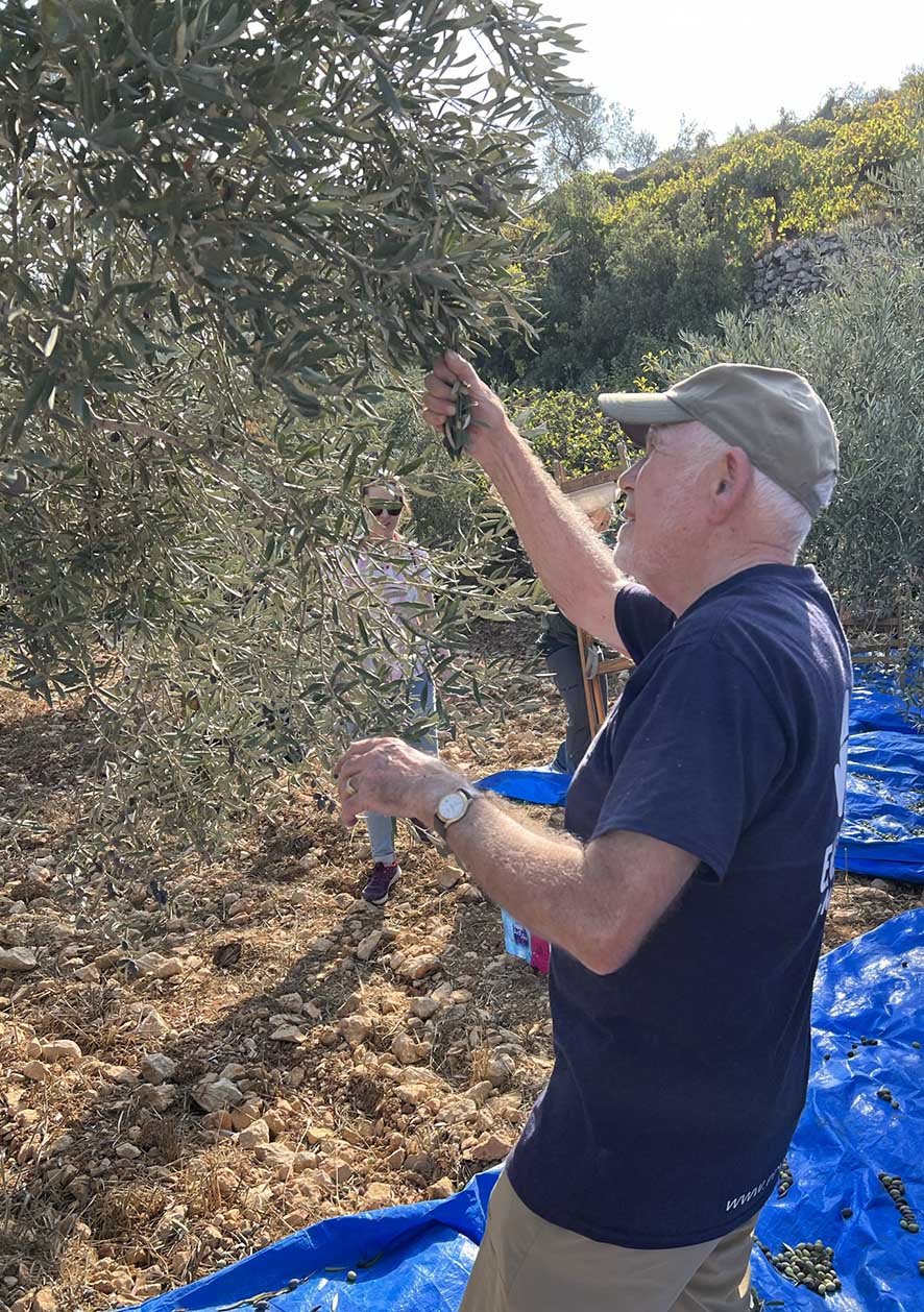 Olive Planting Trip 22 8.JPEG