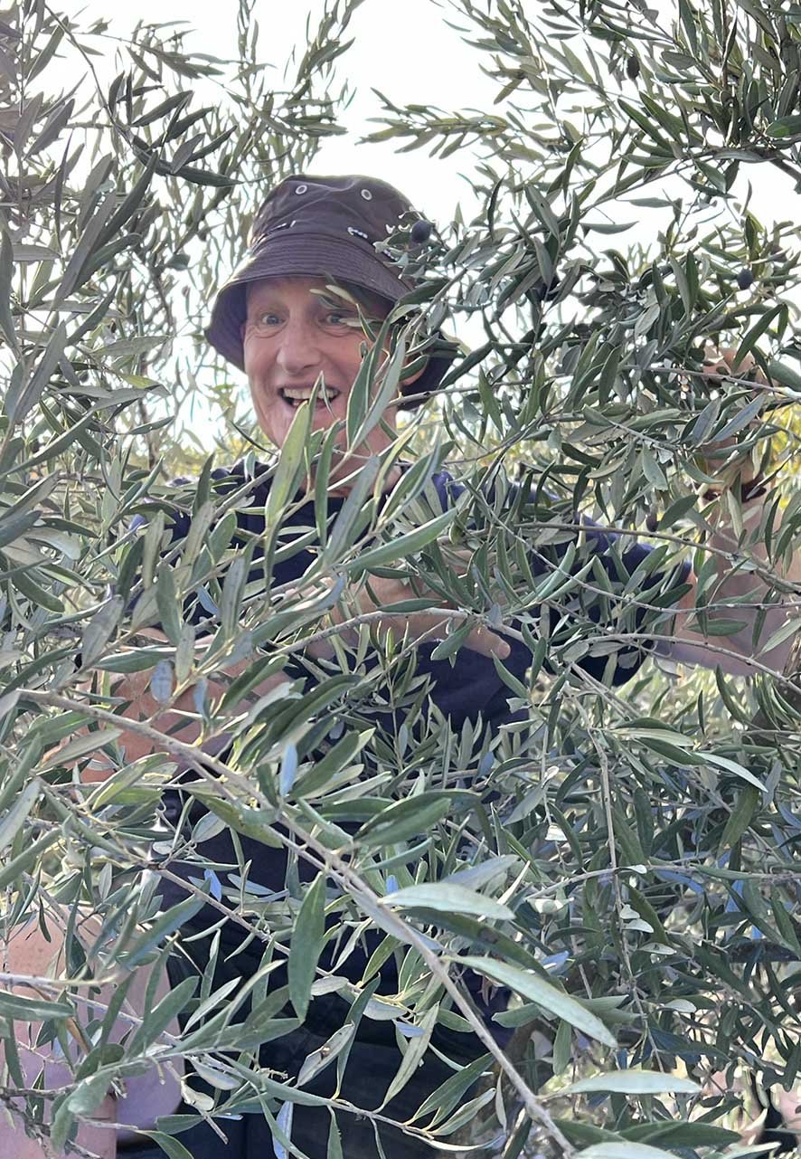Olive Planting Trip 22 6.JPEG