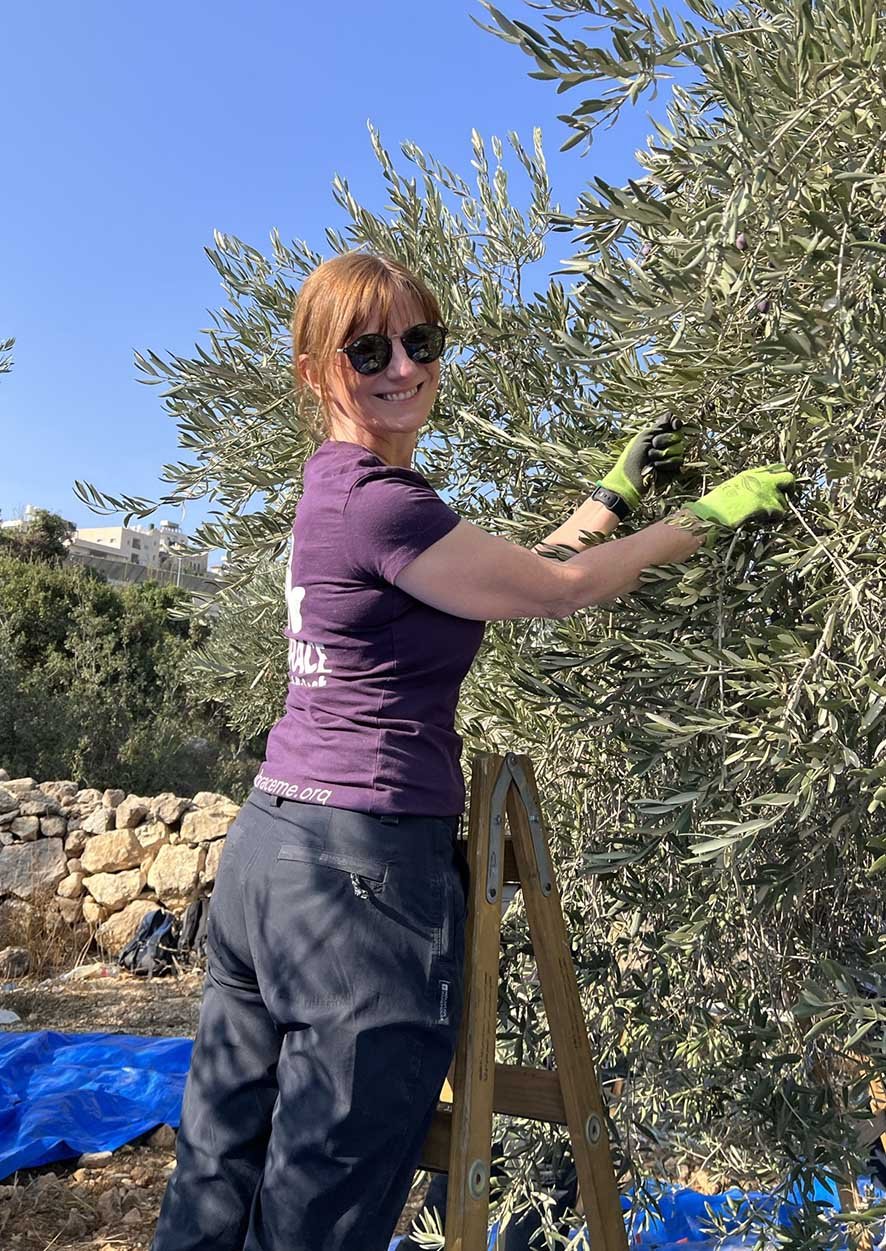 Olive Planting Trip 22 5.JPEG