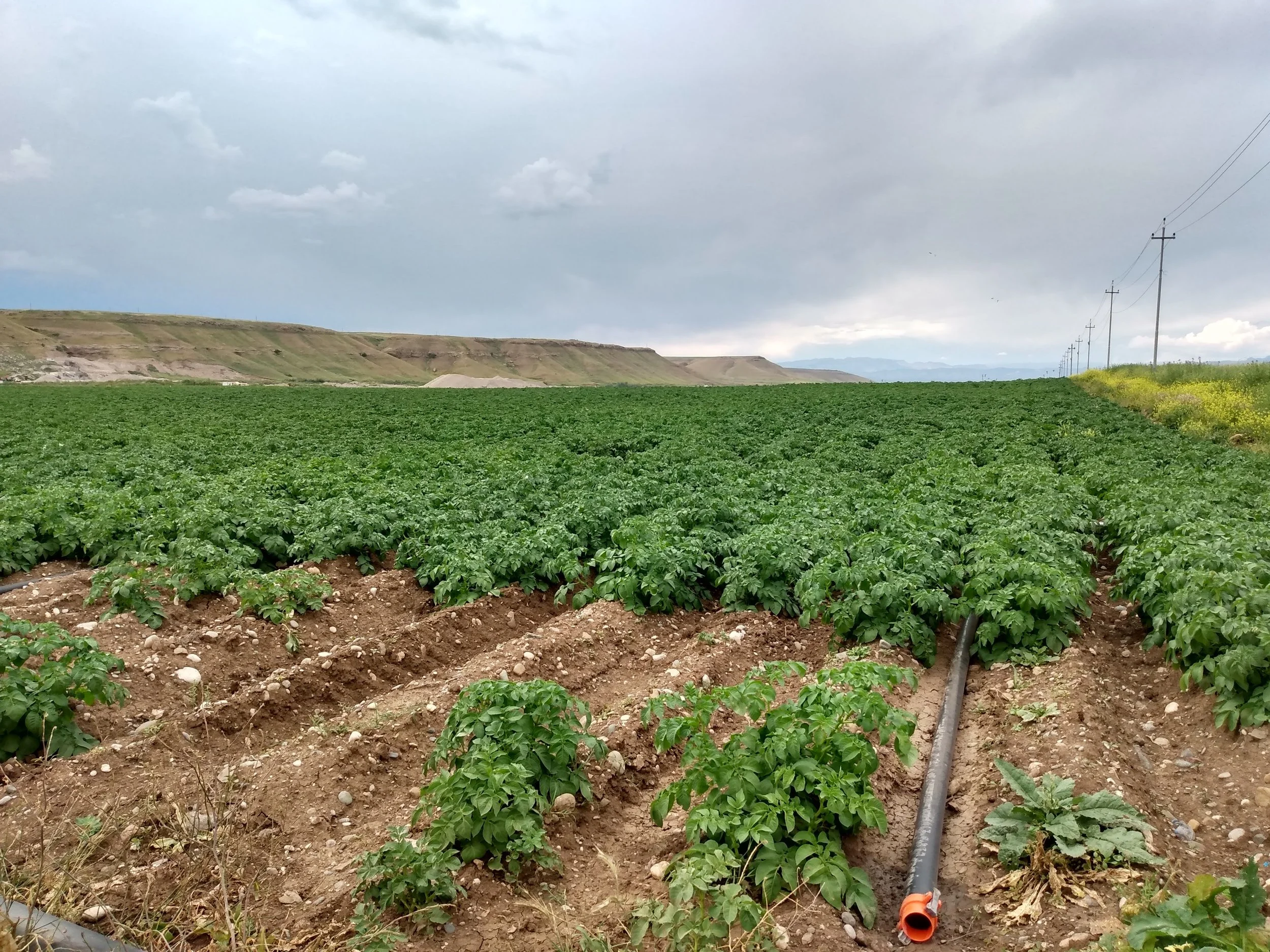 Christian Aid Programme (CAP) helps marginalised communities in Northern Iraq...