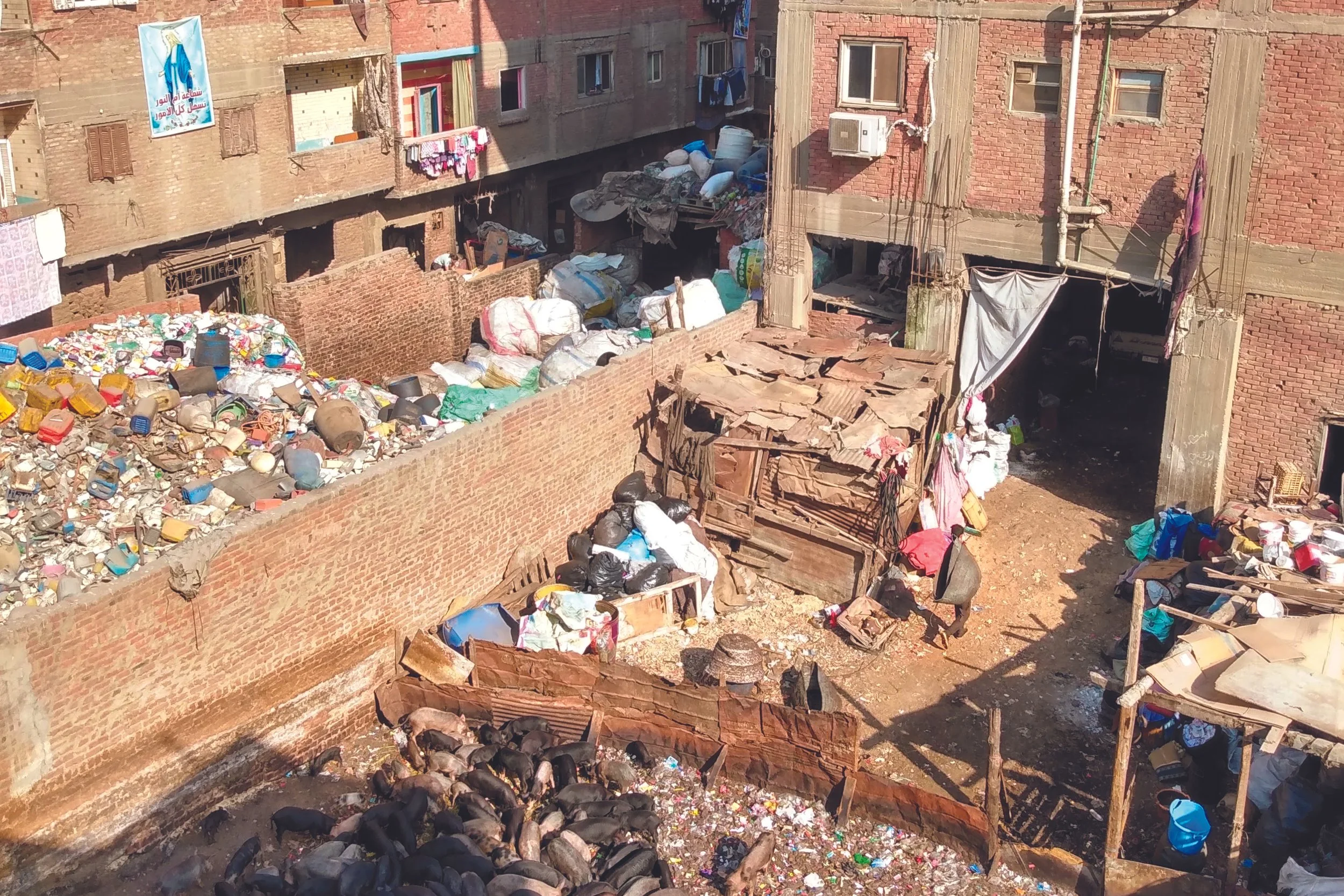 Weekly devotion: A Firm Foundation for Young Lives