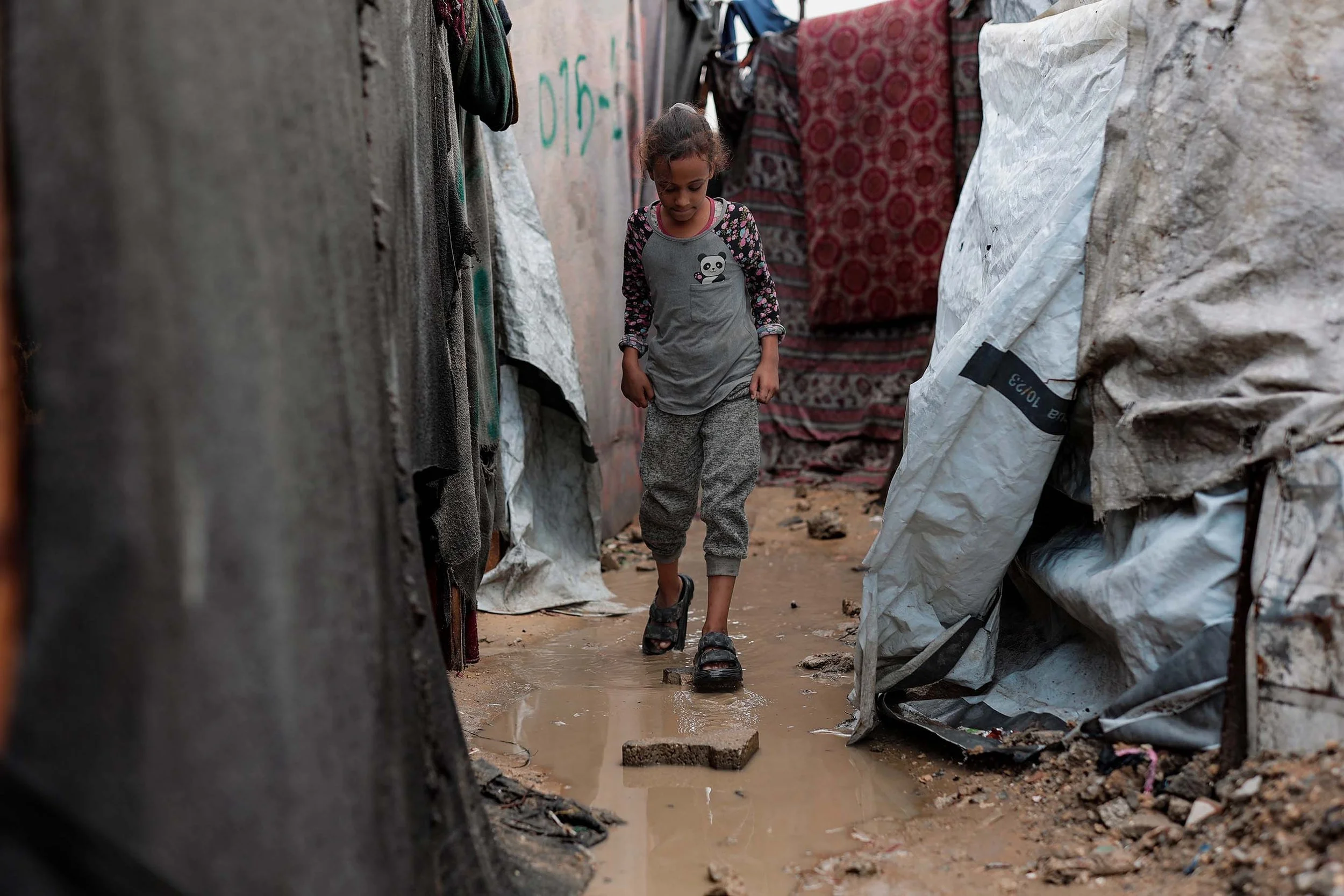 Rats, rubbish and lice: The horrific conditions in Gaza’s displacement camps